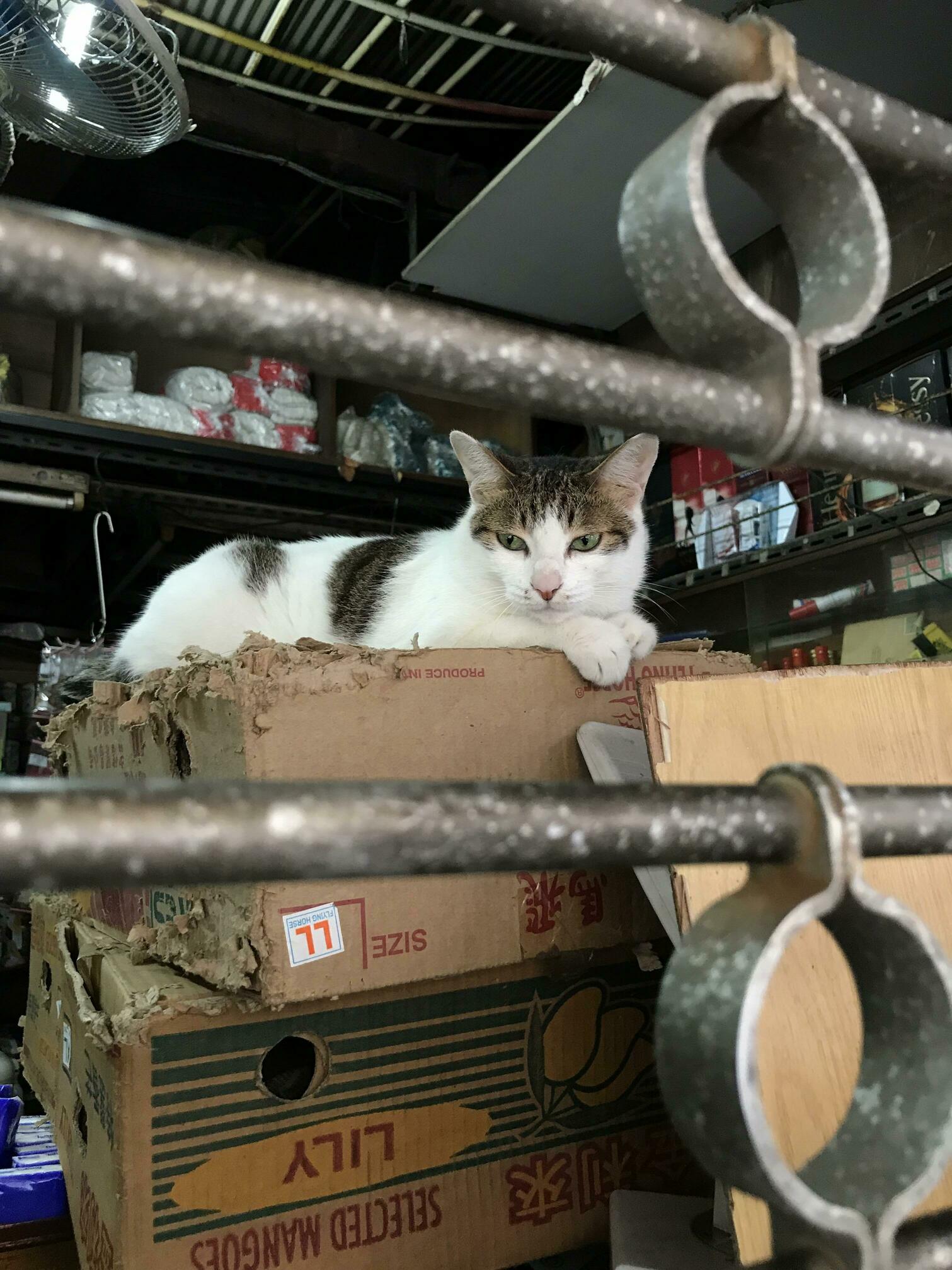 Store Manager of the Month