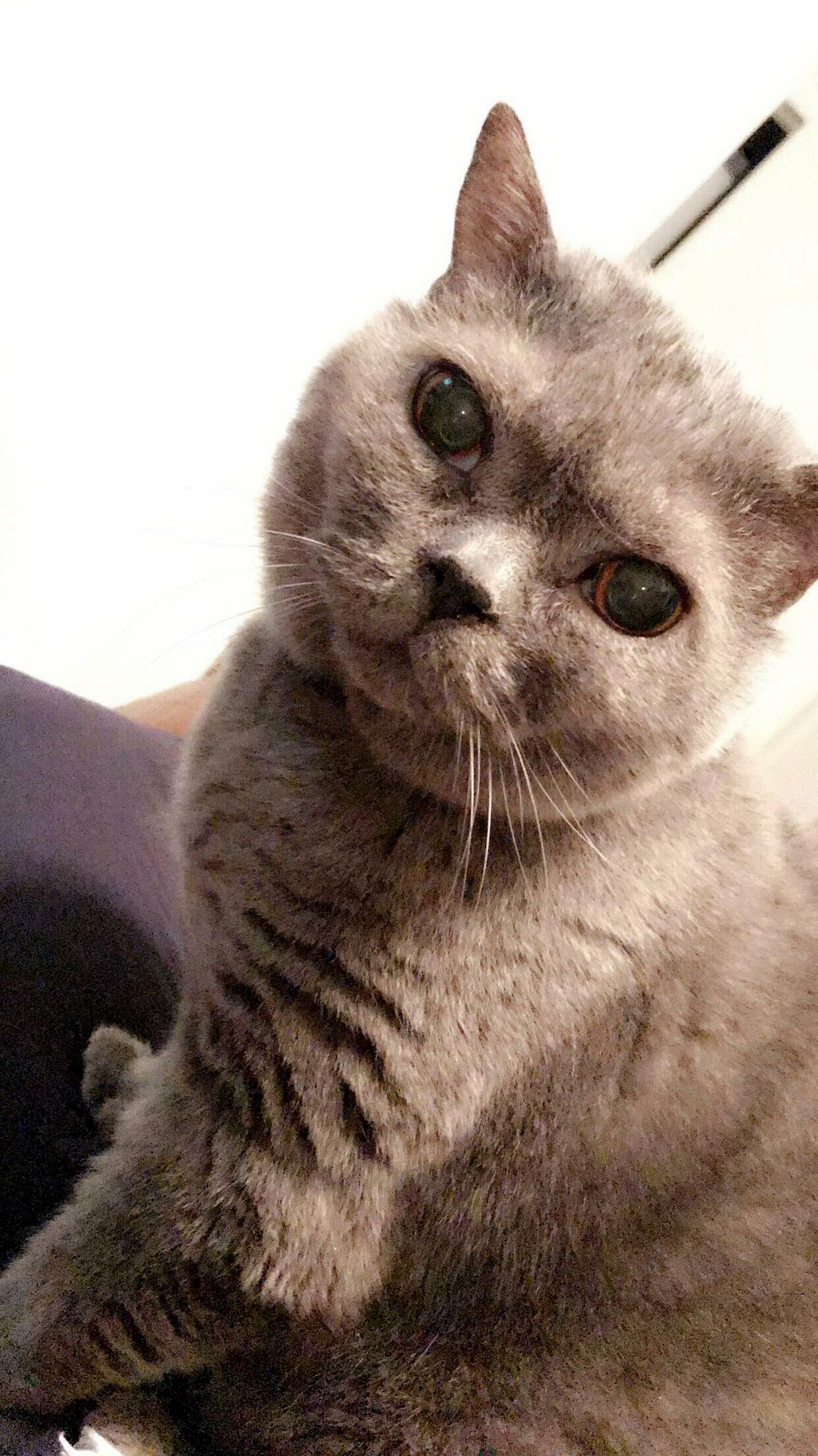 Storm Is a Handsome Man