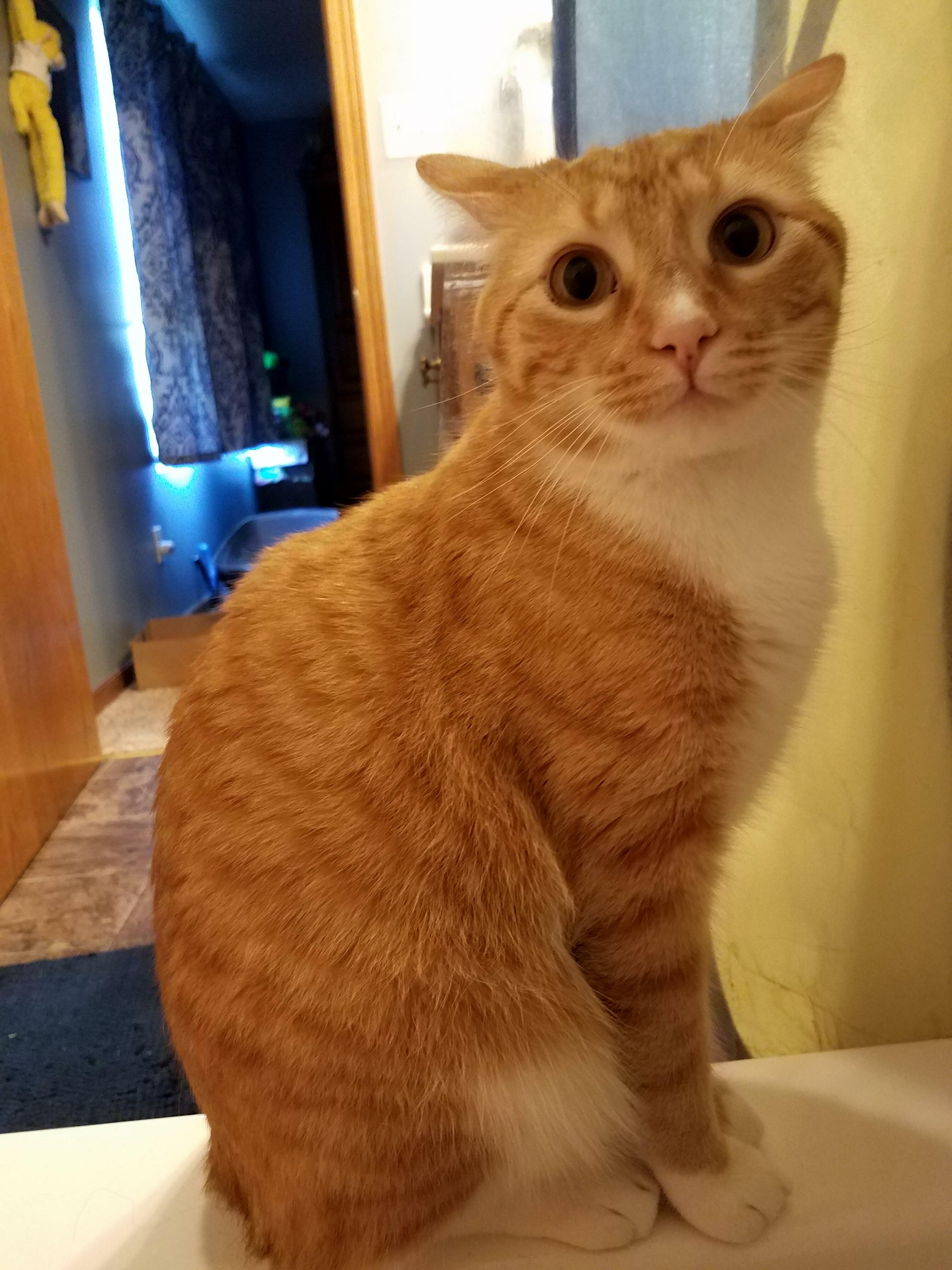 Sweet Sora, Just a Little Uncomfortable with the Tub of Water