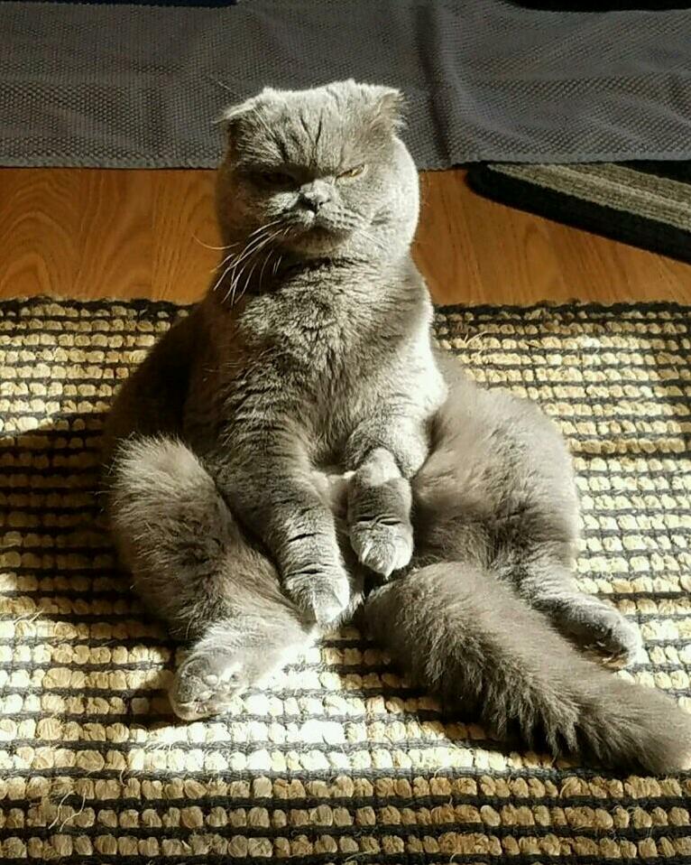 The Face You Give Your Mother When She Says to Sit Like a Lady
