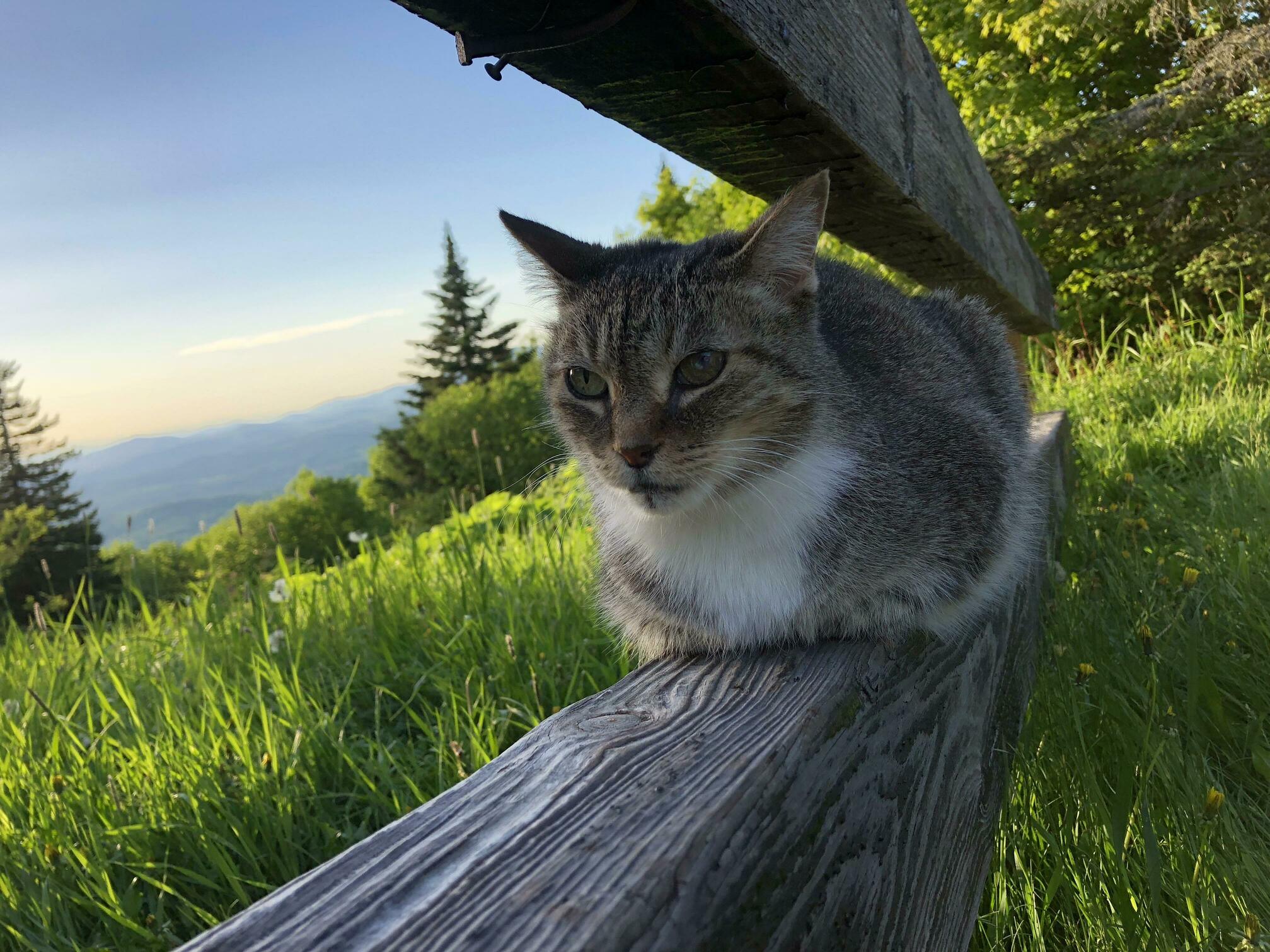 The Most Beautiful Sunset View to Me - Because You Are a Part of It!