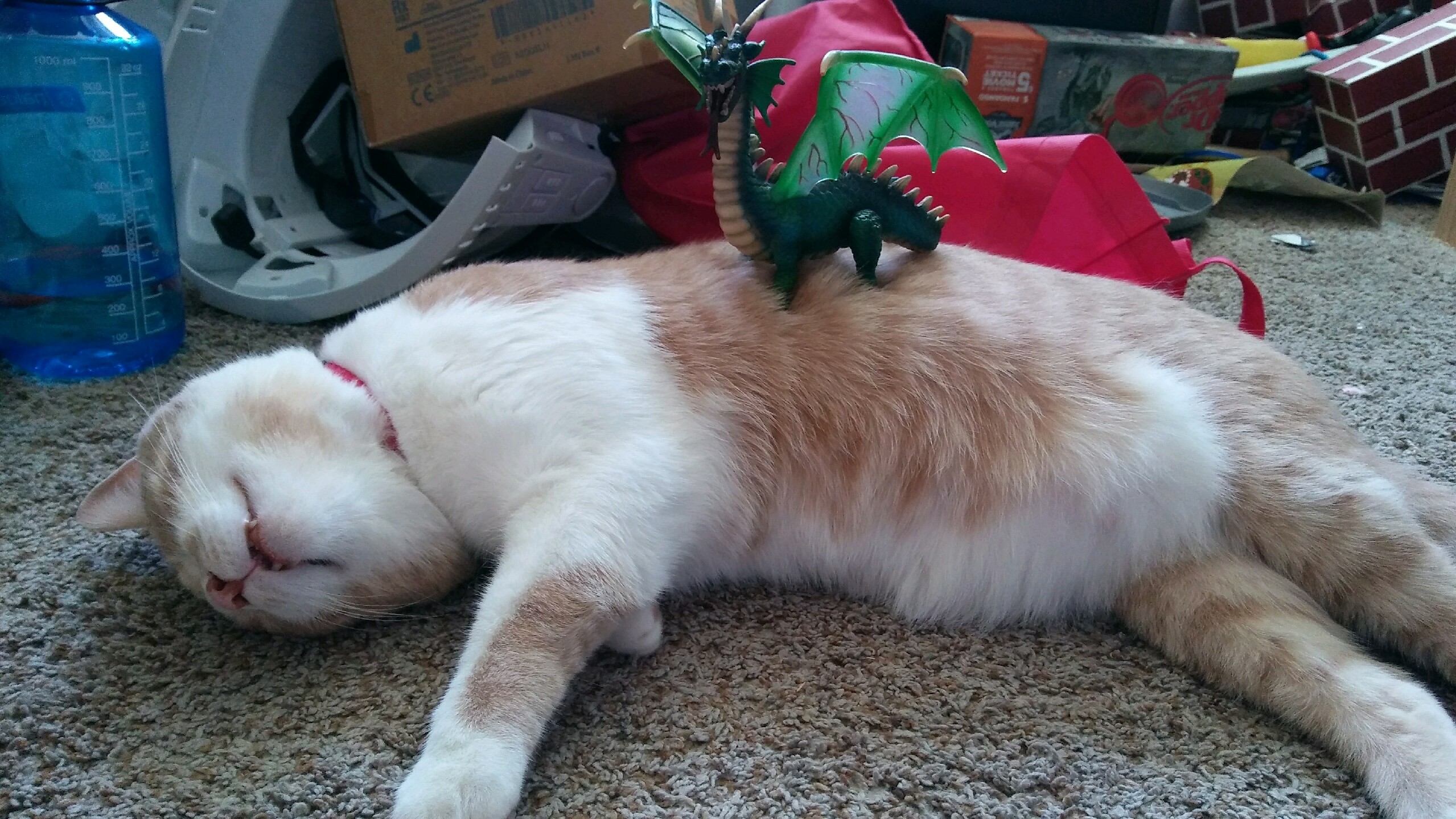 There May Have Been an Incident with a Dragon. . .