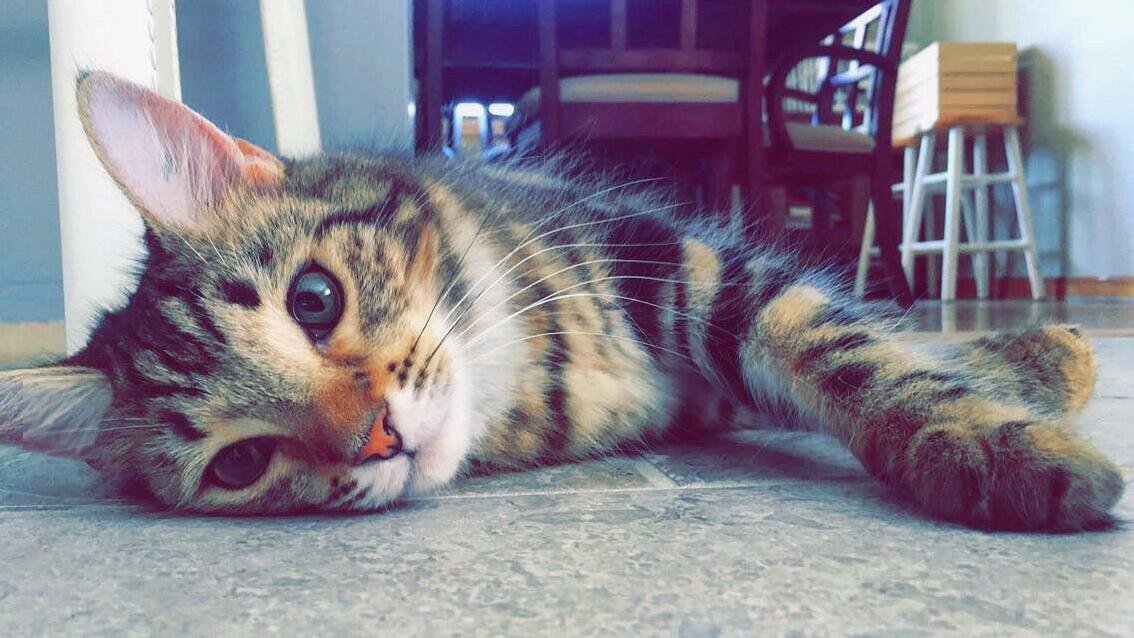 This Guy Melts My Heart