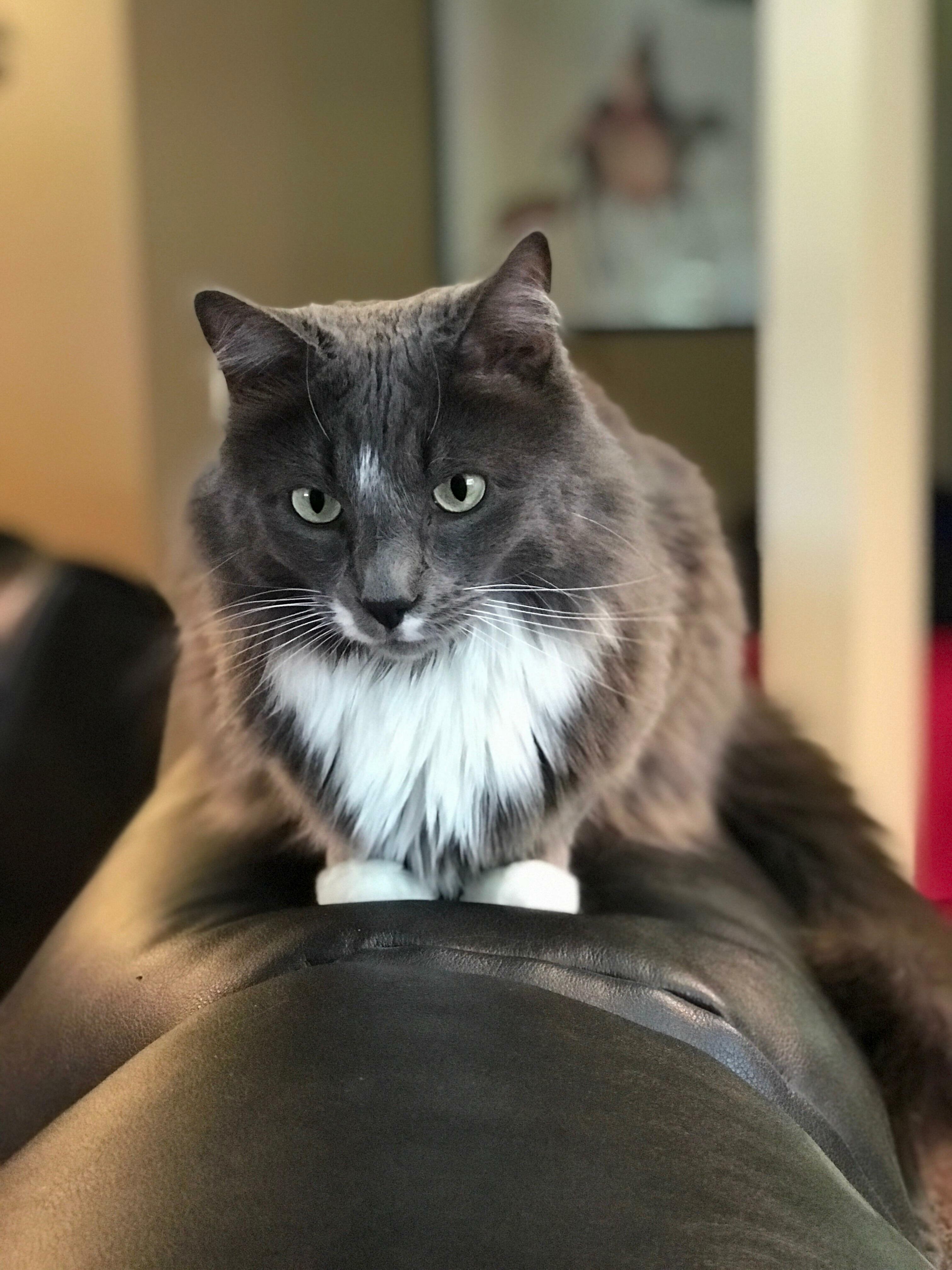 This Is Edgar and He Attacked Right After This Was Taken