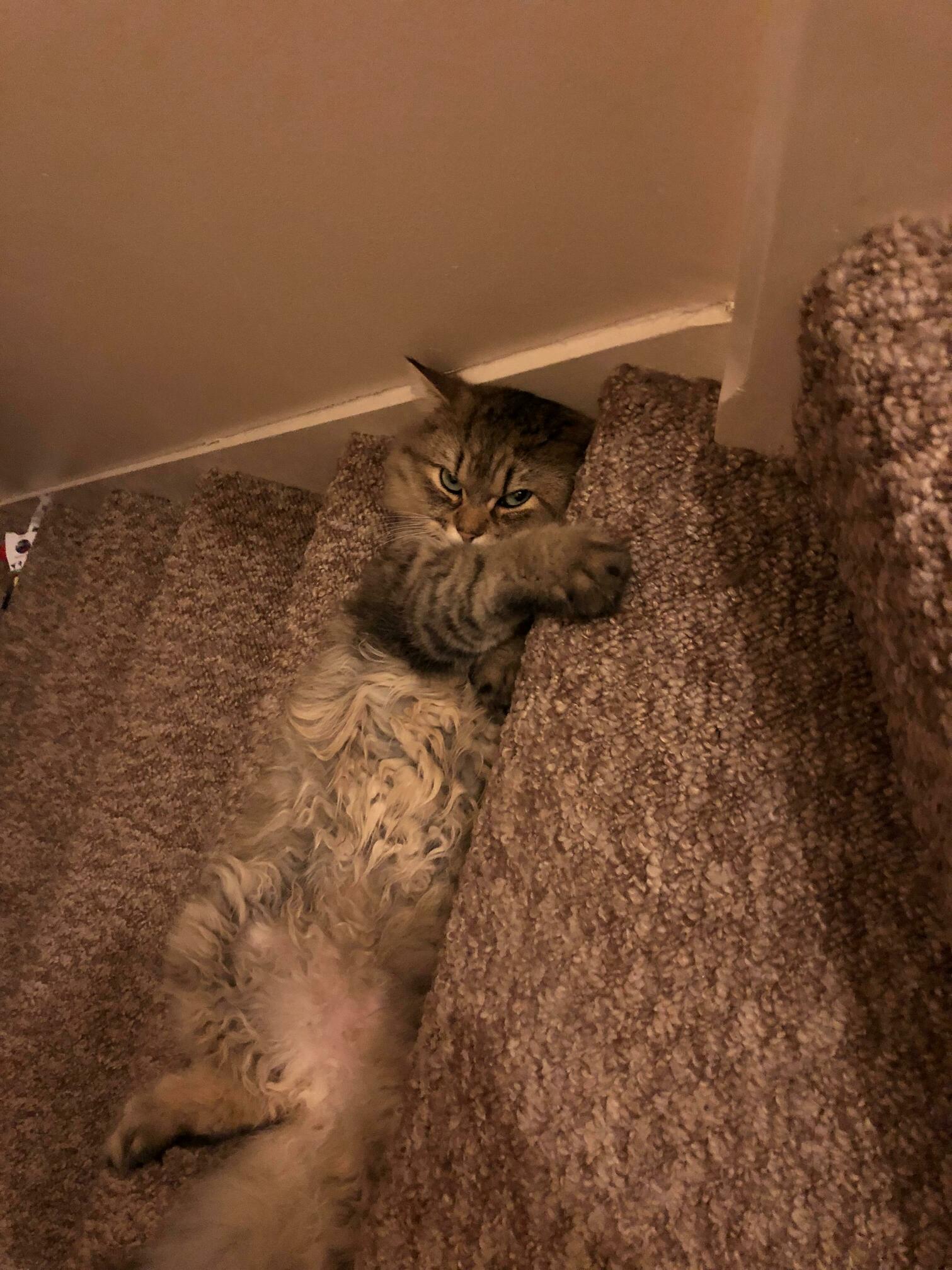 This Is My Step Human.
