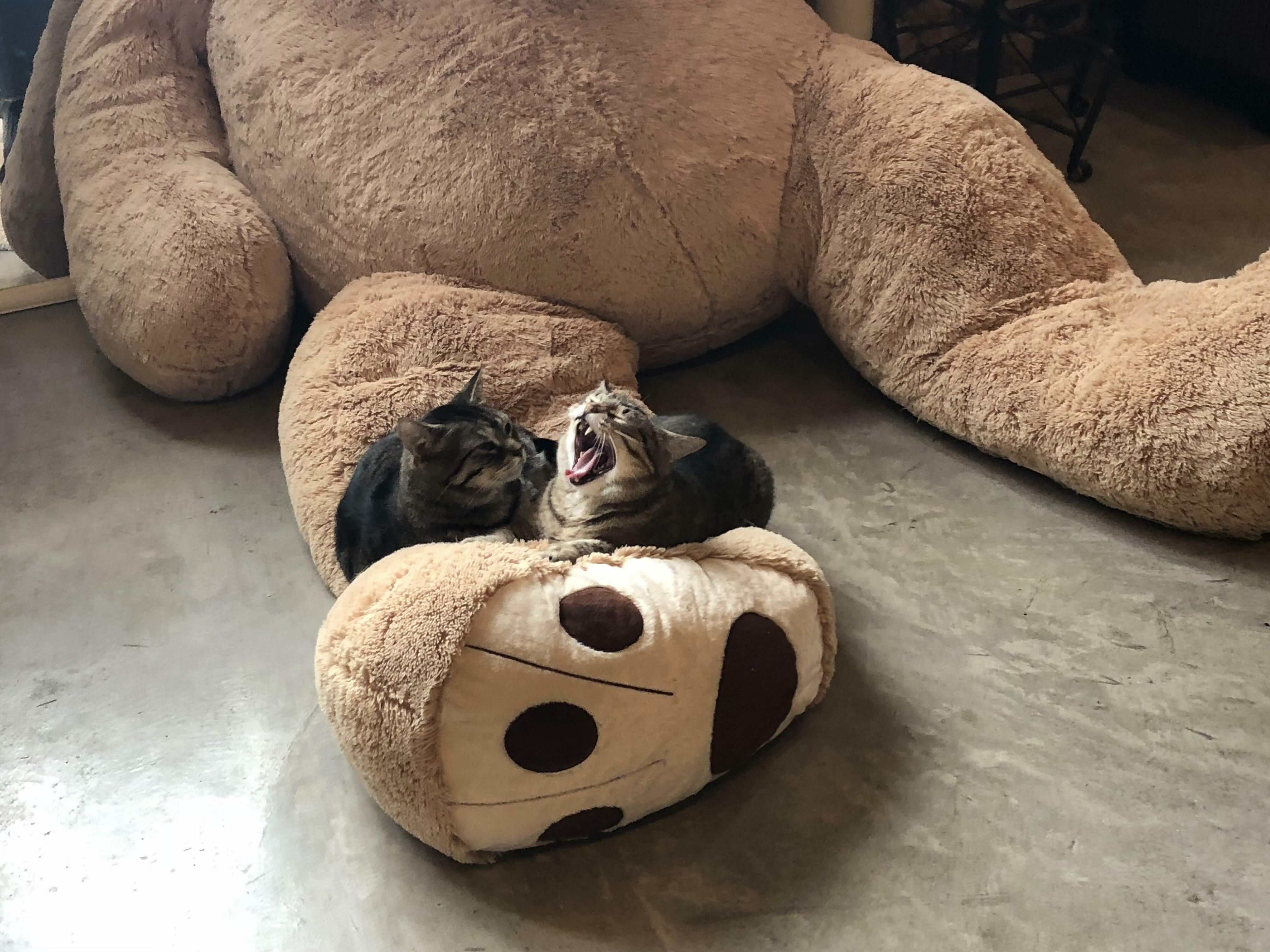This Is Myyyyyyyyyyyyy Leg! Get Your Own!