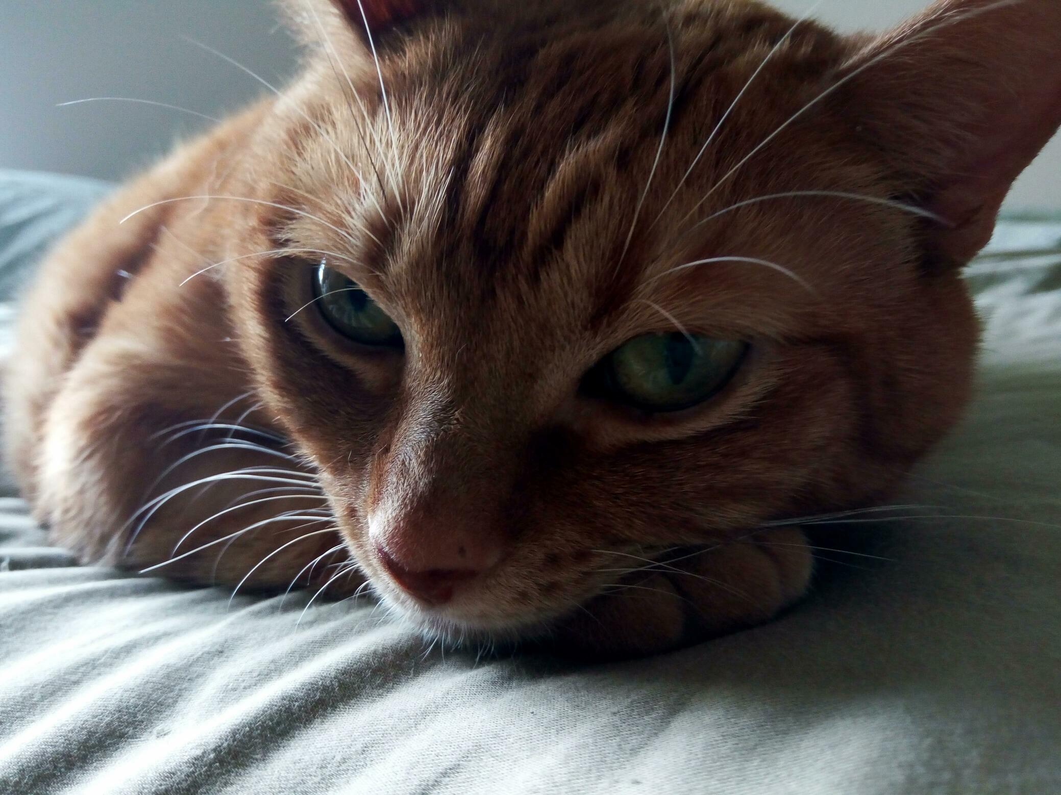 This One Photogenic Girl