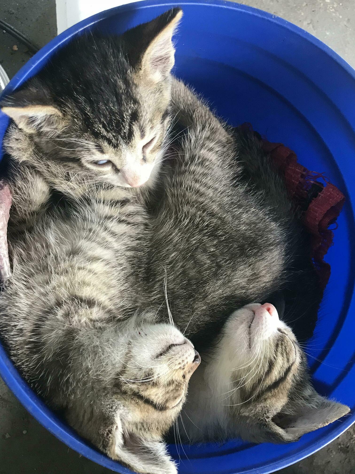Three Fits and Sits