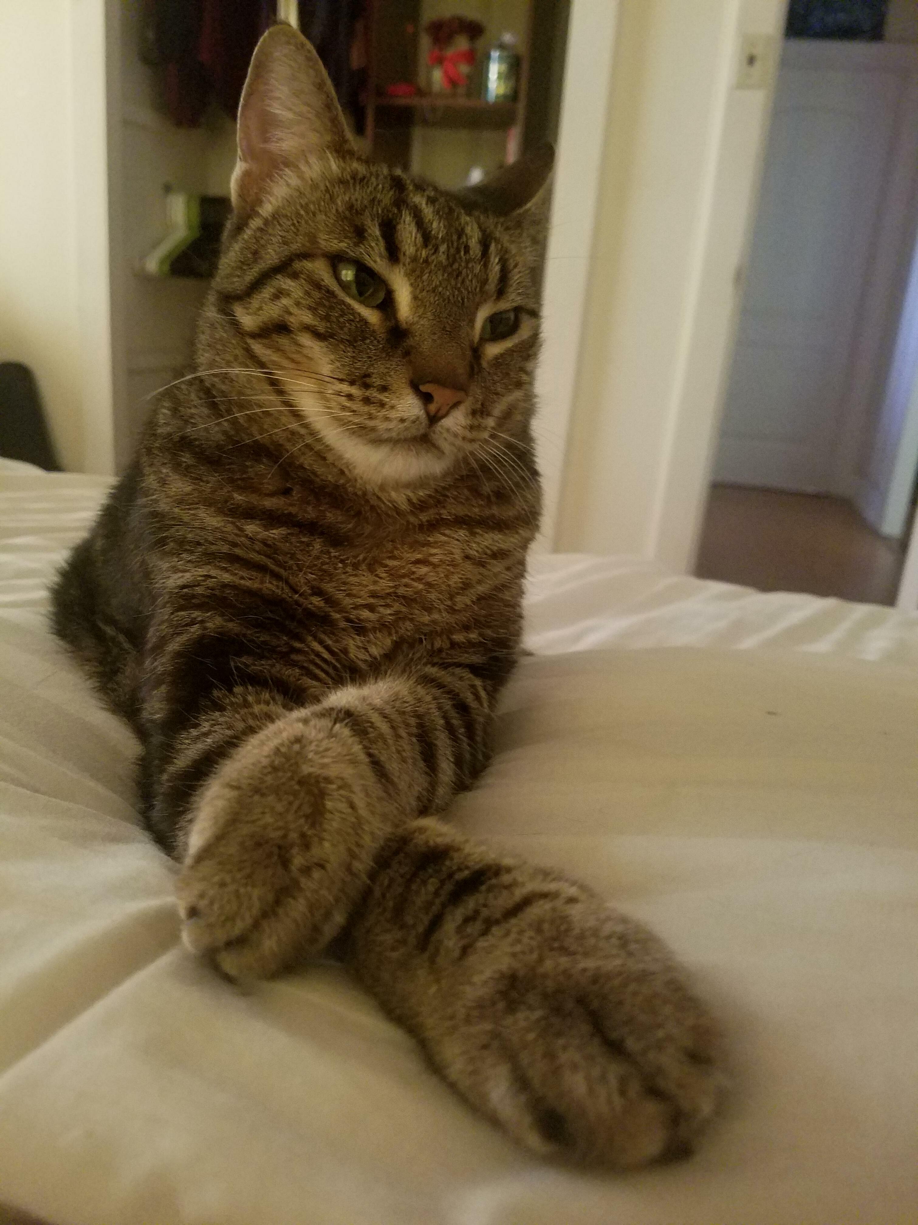 Thunder Is Sassy and Very Handsome.