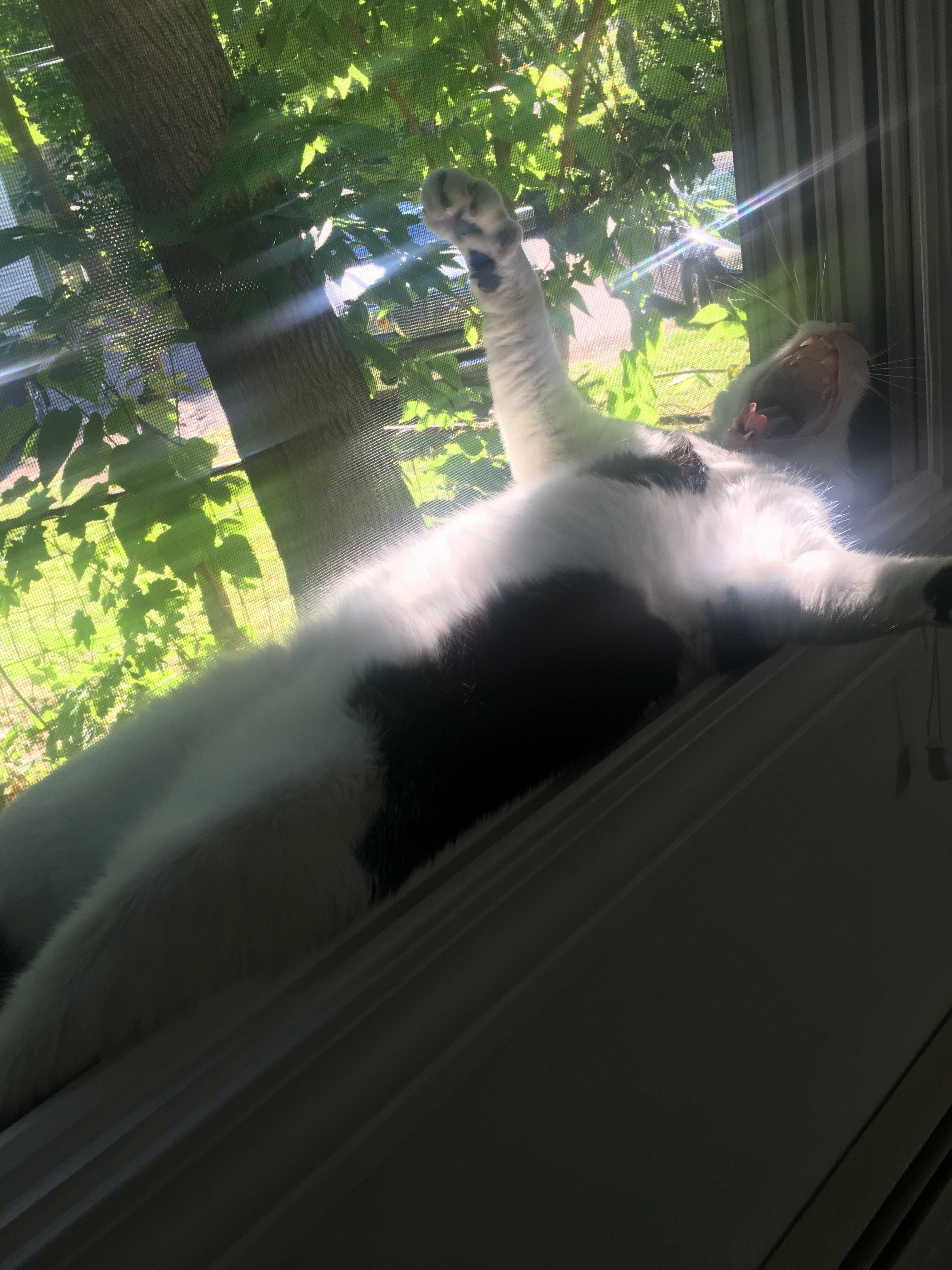Tom Cruise, Enjoying His Summer Day of Relaxation.
