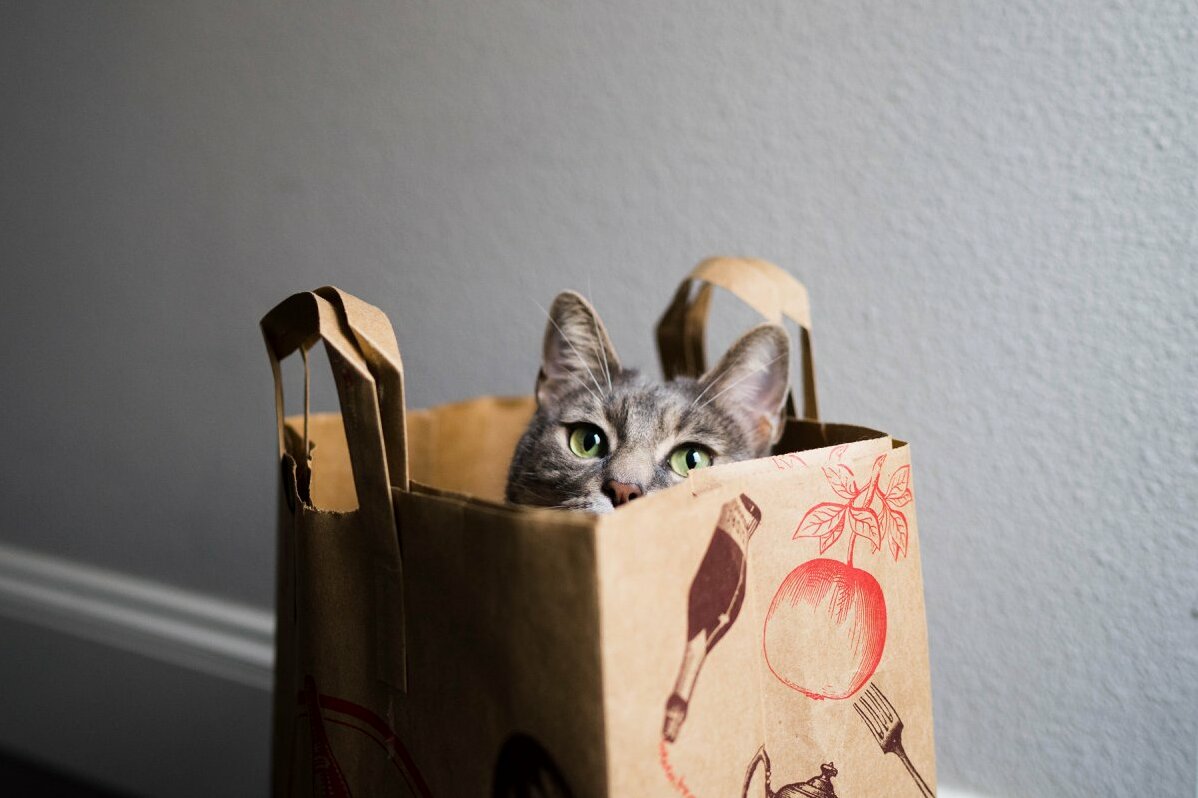 Trader Joes Now Better, with Cats.