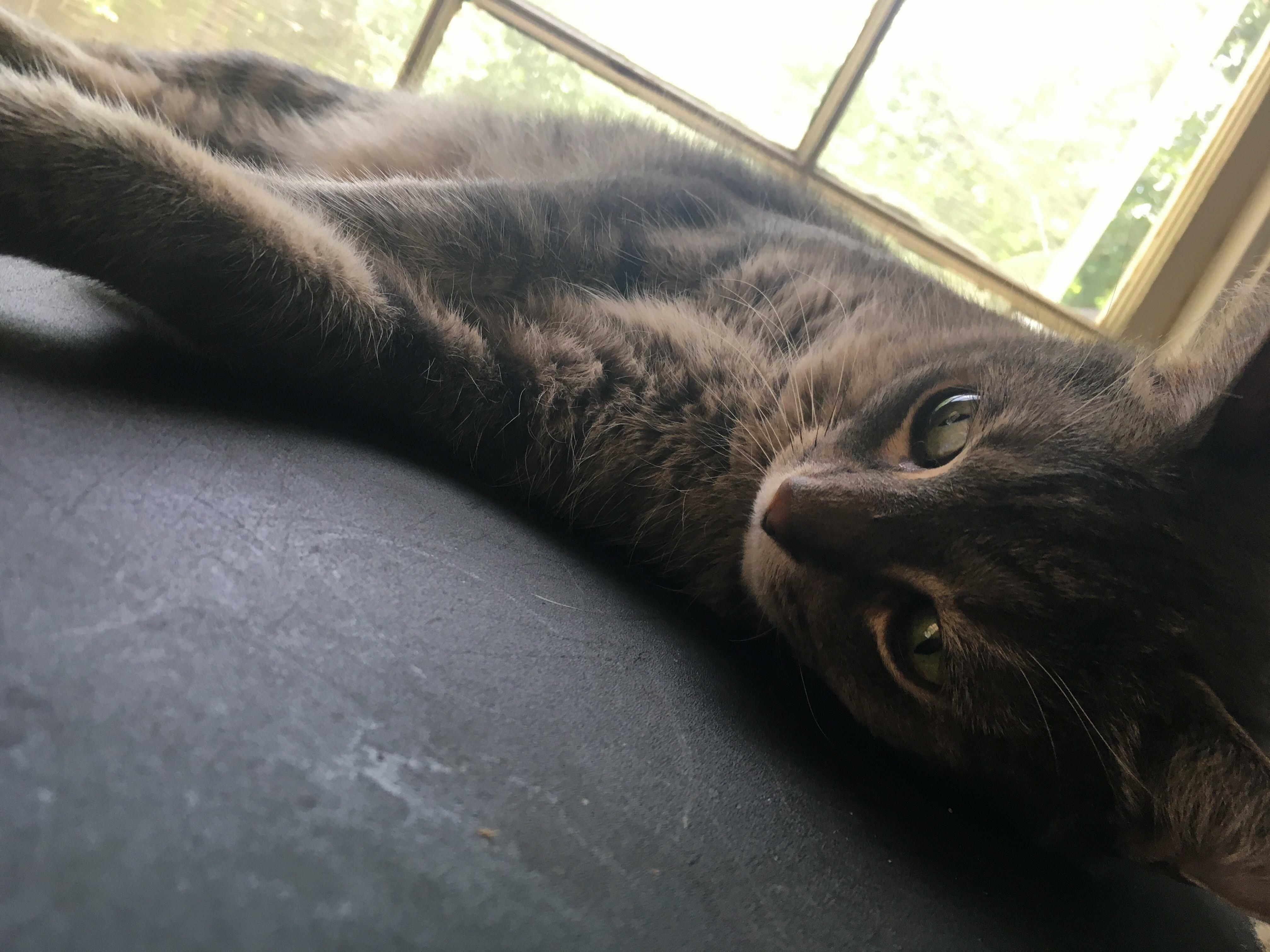 Vinny Knows How to Take It Easy.