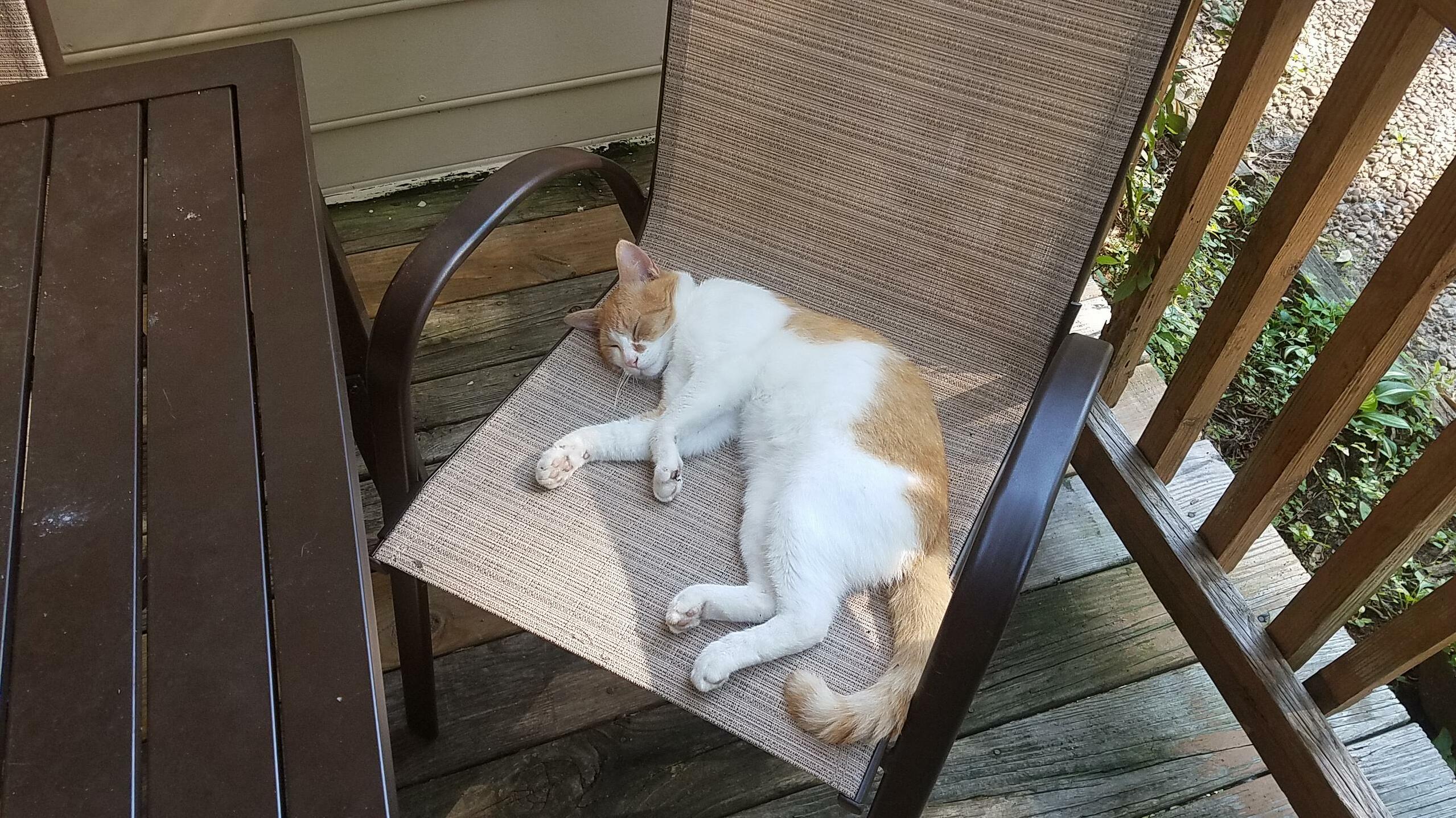 When Outside Temps Are 90f Before 11 Am.