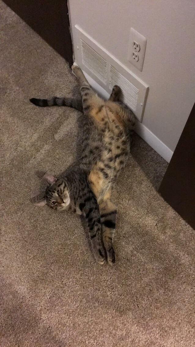 When Someone Says Pose but Youre Relaxing