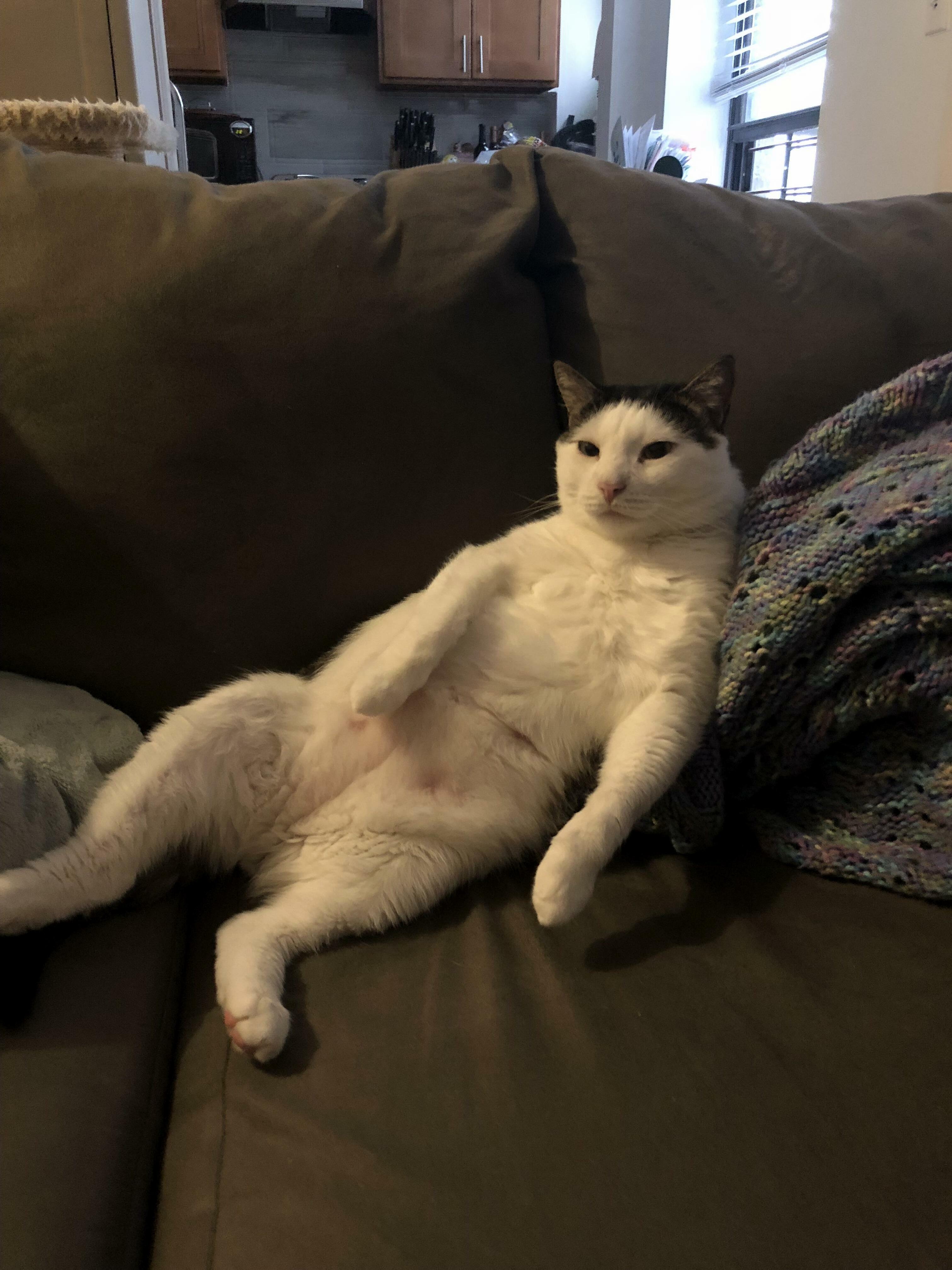 Why Are You Interrupting Me While Im Watching Tv