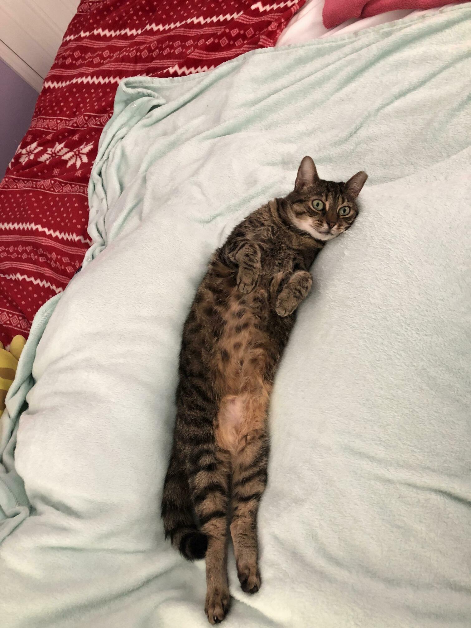 Woke Up This Morning with This Girl Looking Me Dead in the Eyes