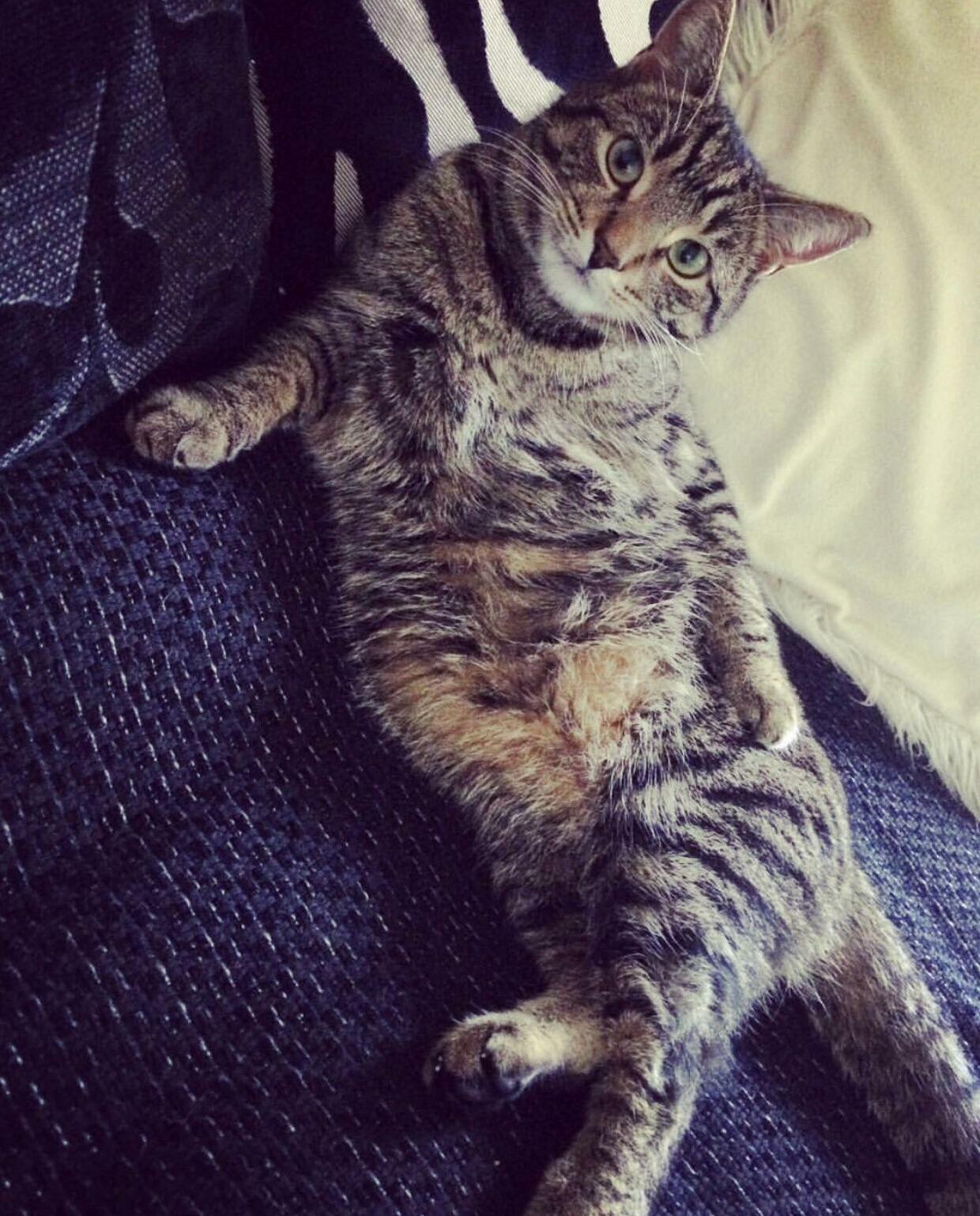 Draw Me Like One of Your French Girls.