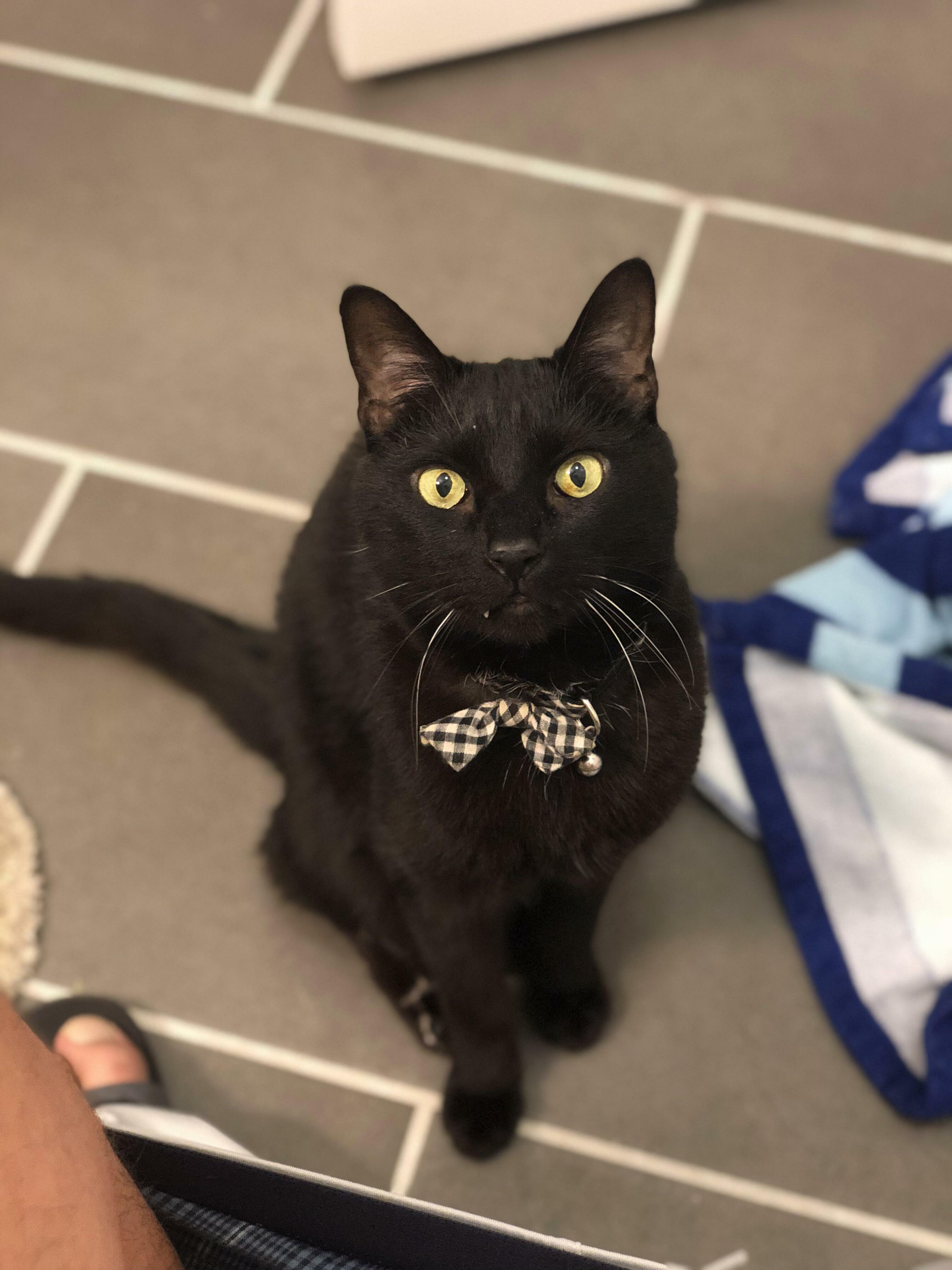 Bathroom Buddy.