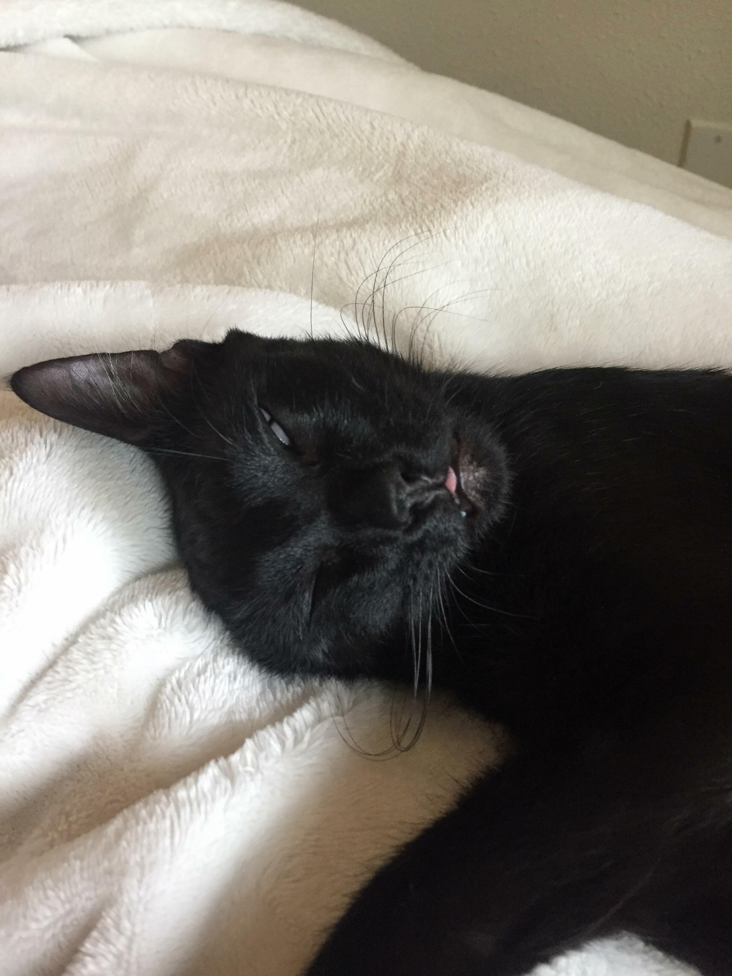 Beatrice Sleeping Pt. 2