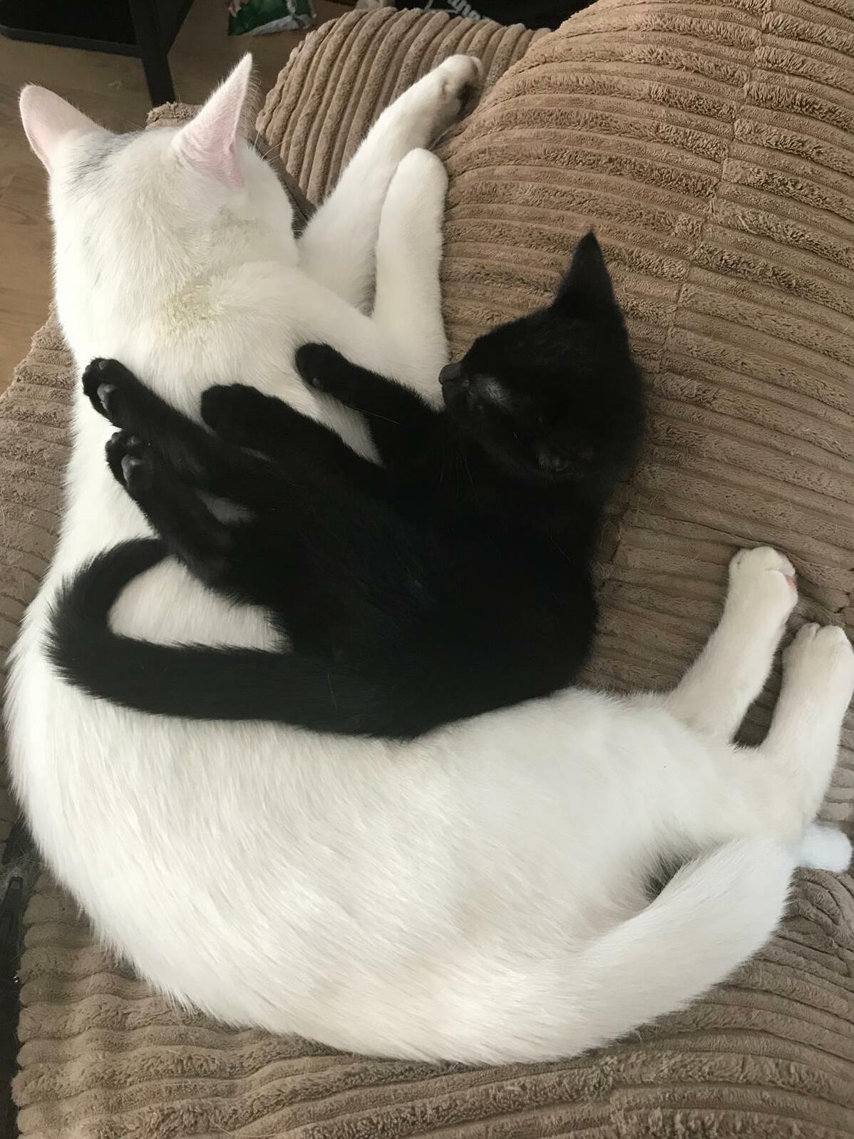 Brian and Gwen