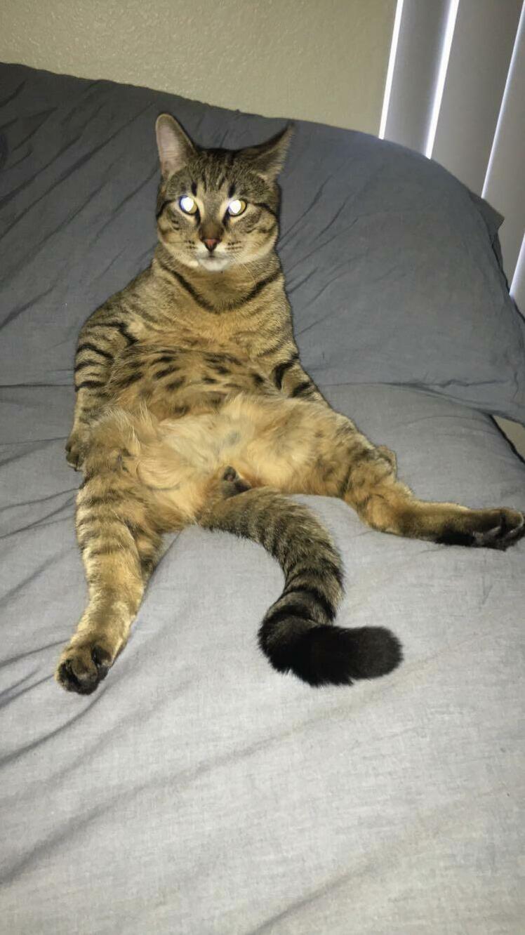 Chillin Like a Villain