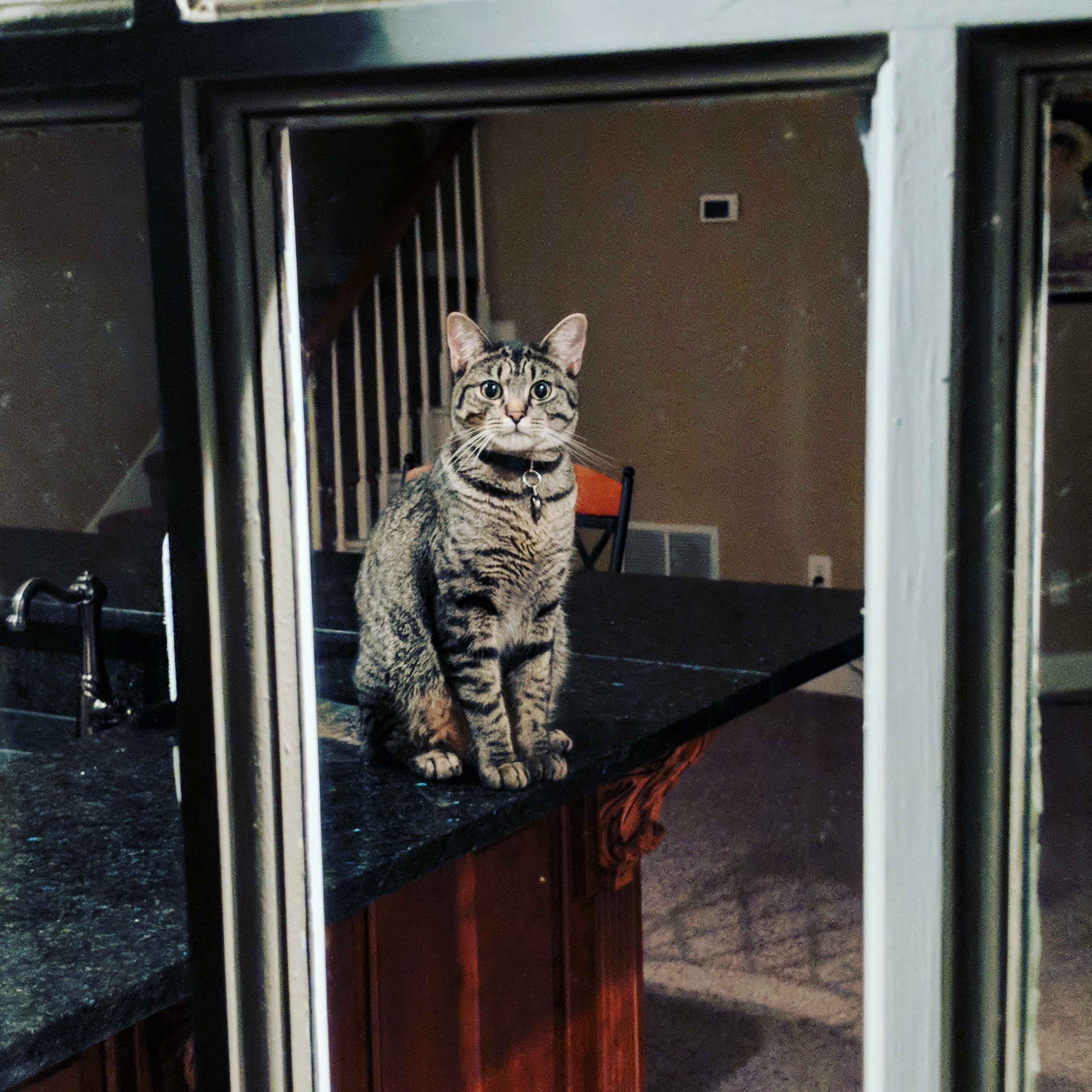 Come Inside Human