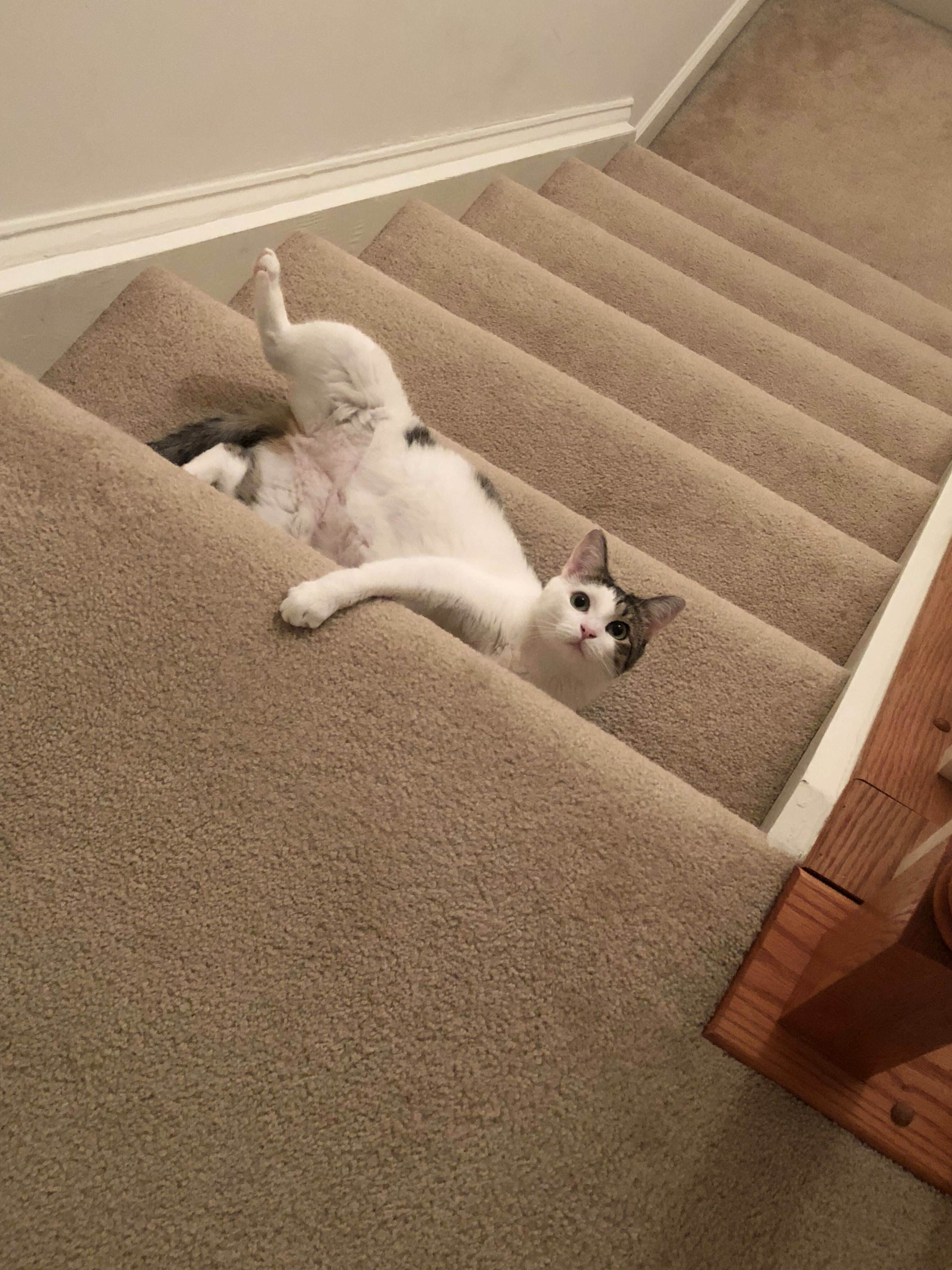 Dont Mind Me.