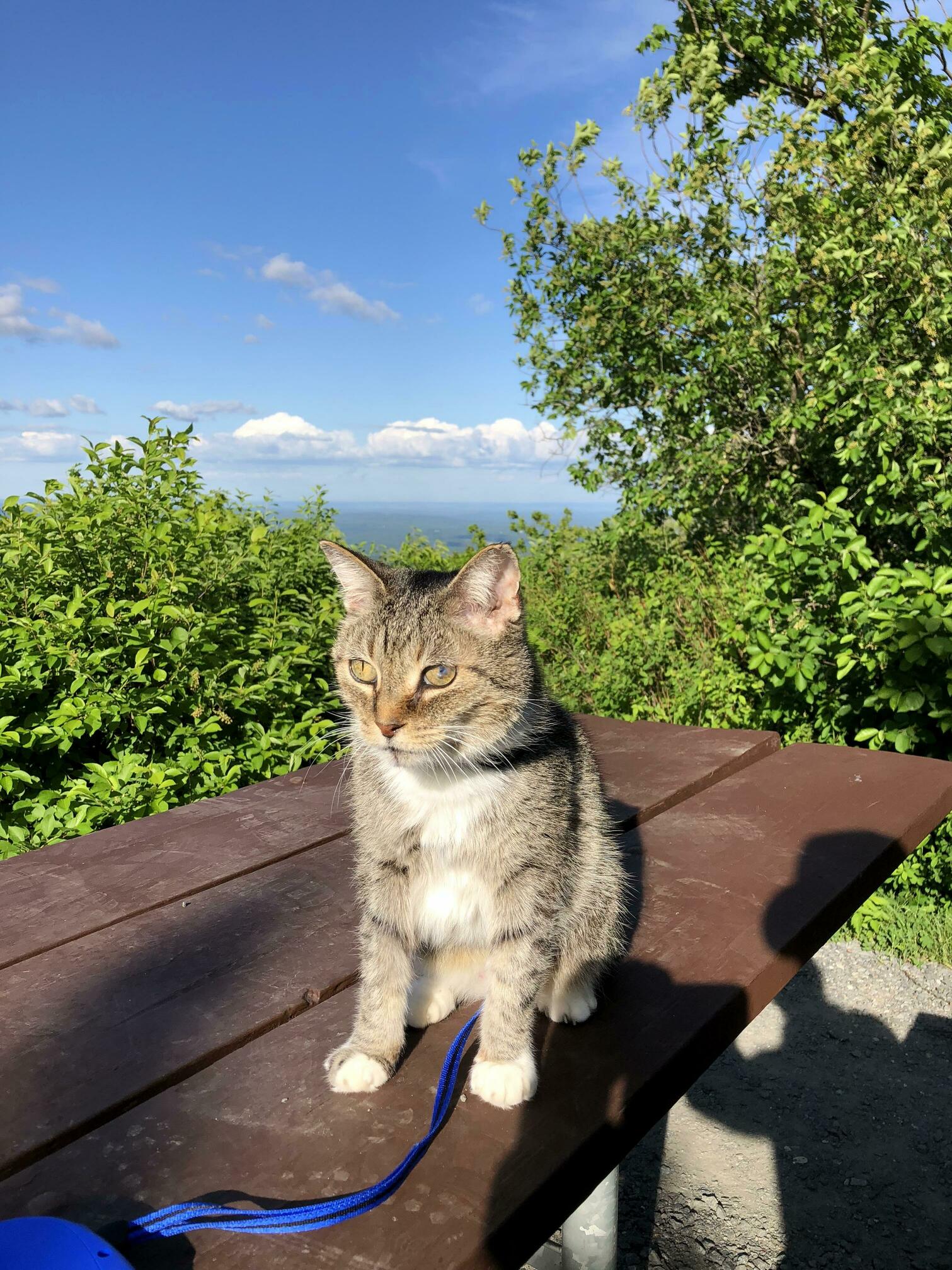 Duoduo Loves the Sunshine, and She Has a Good Influence on Me! I Want to Go Out on Every Sunny Day -with Her!