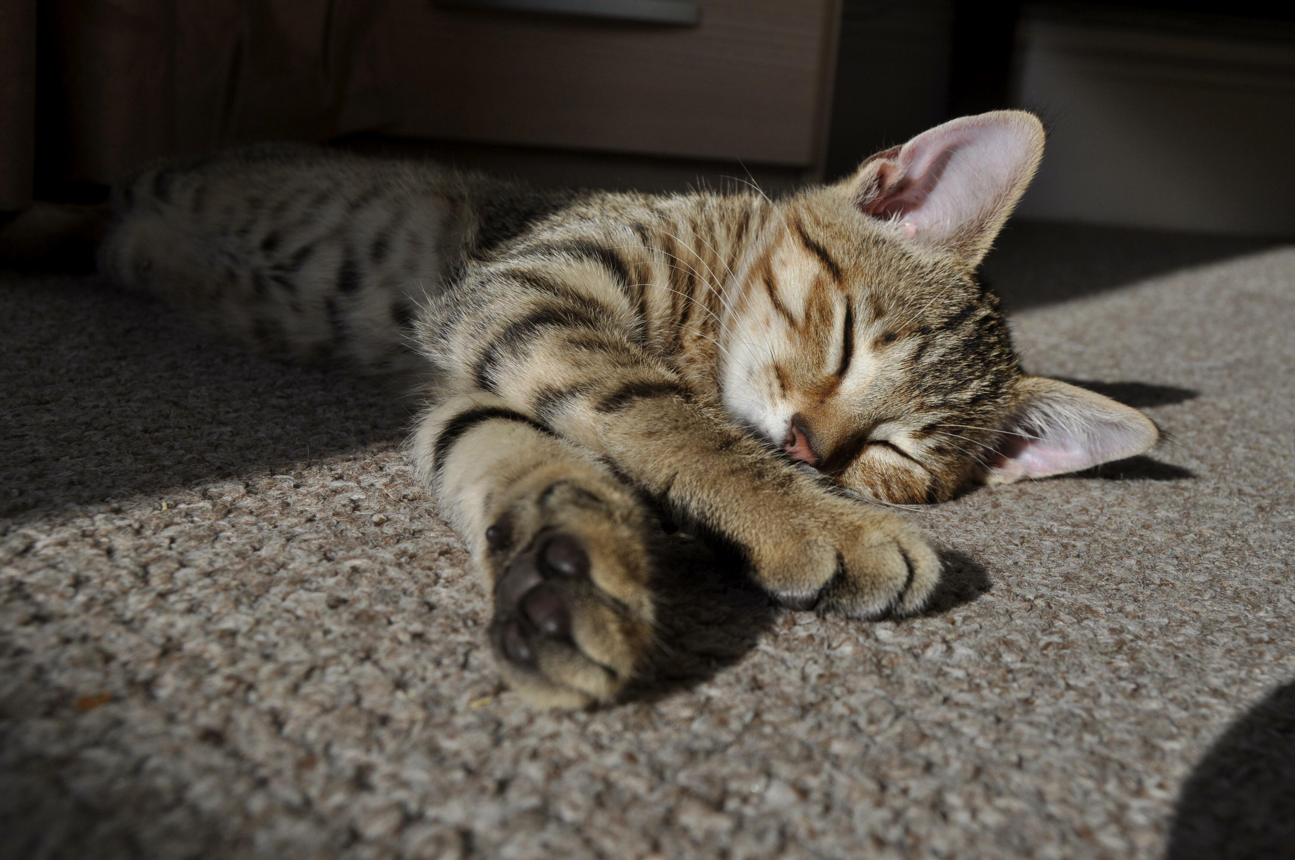 Enjoying the Last of the Sunshine )