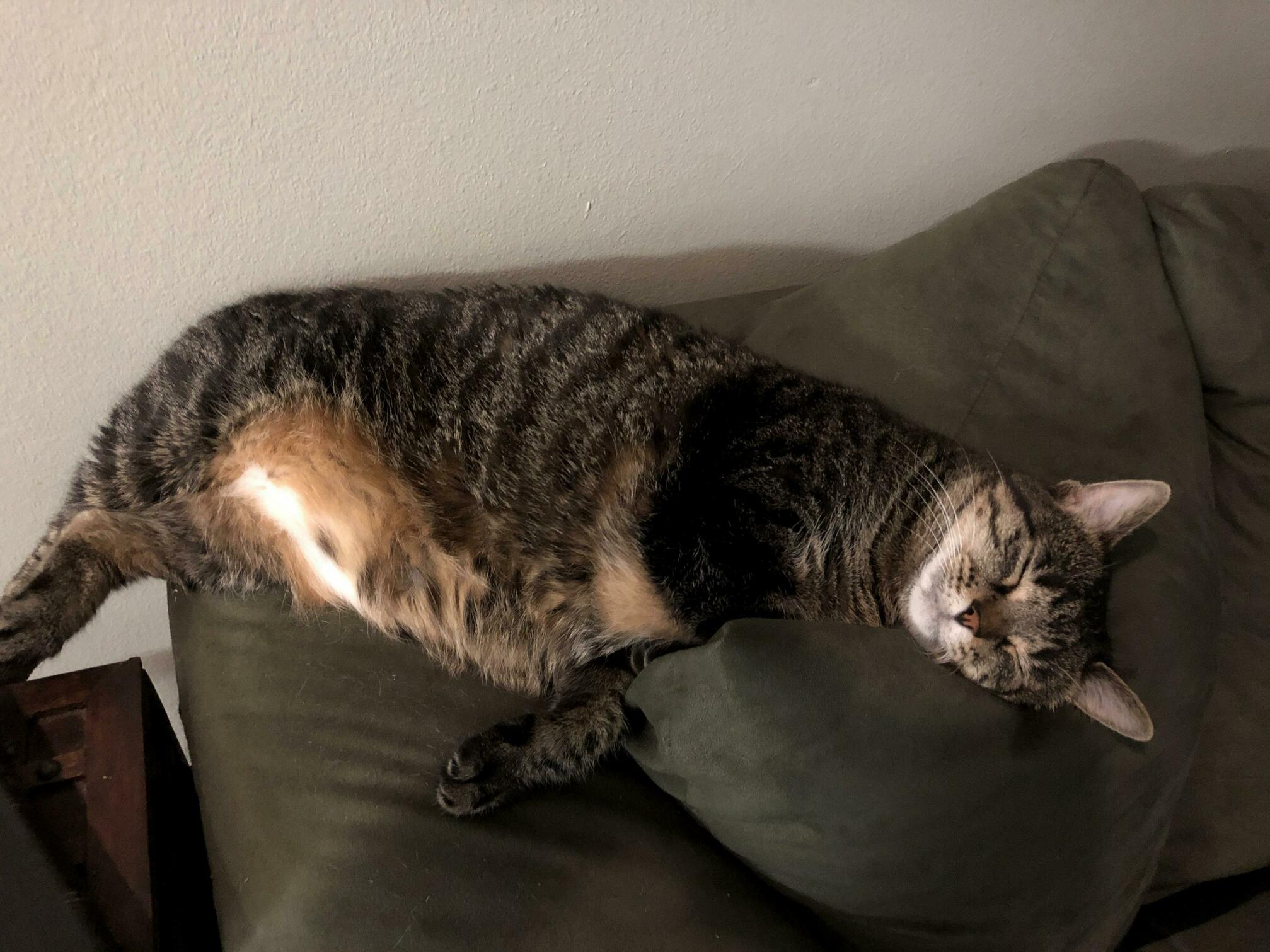 Fatty Mcbutterpants