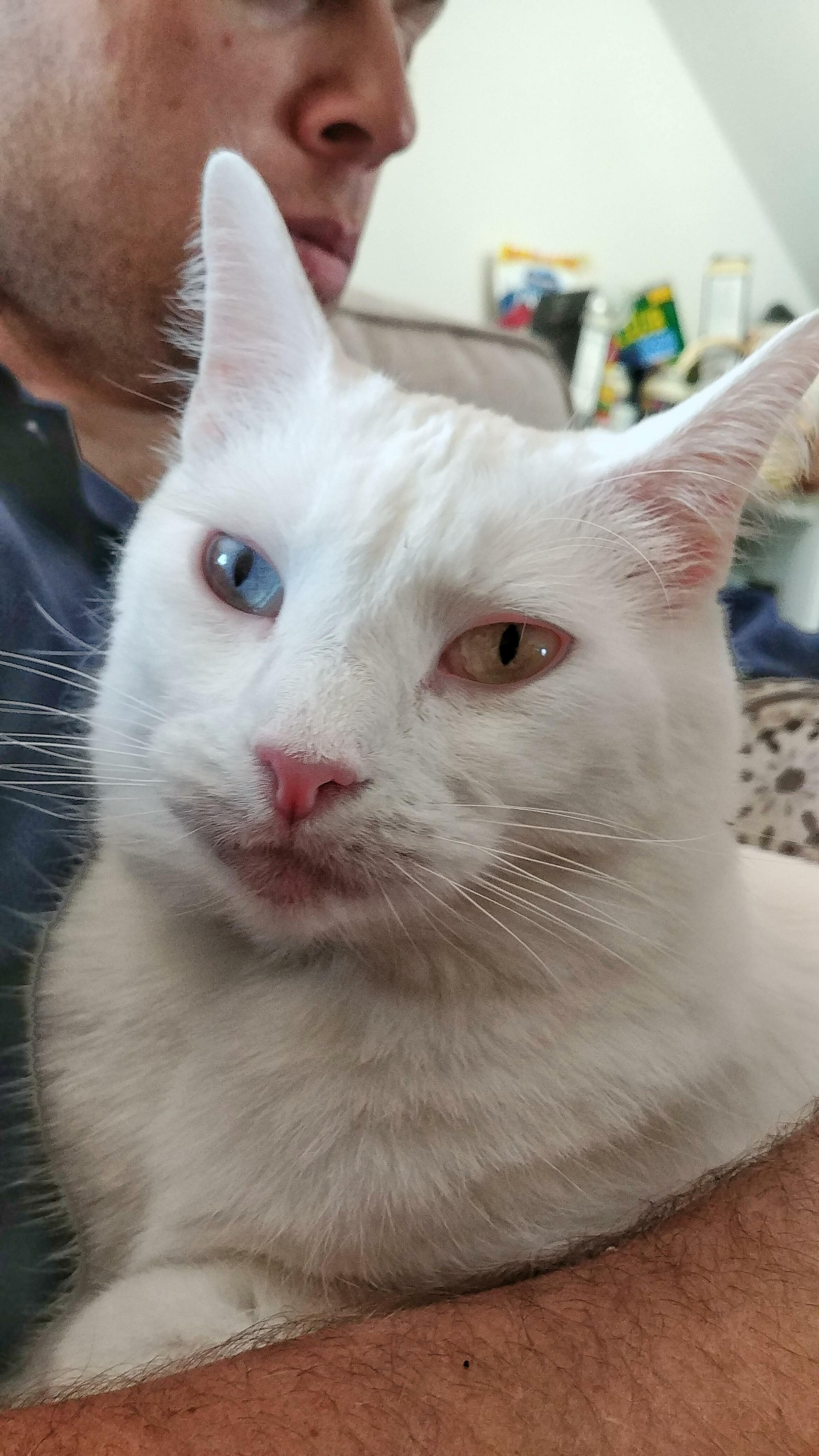 Gabby Has Beautiful Jewel Eyes