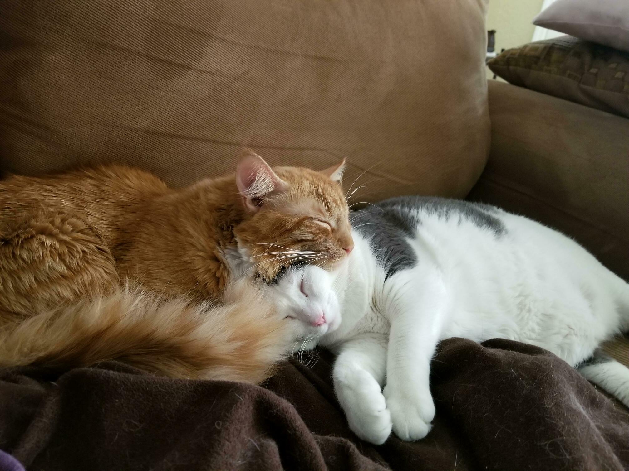 George and Anya