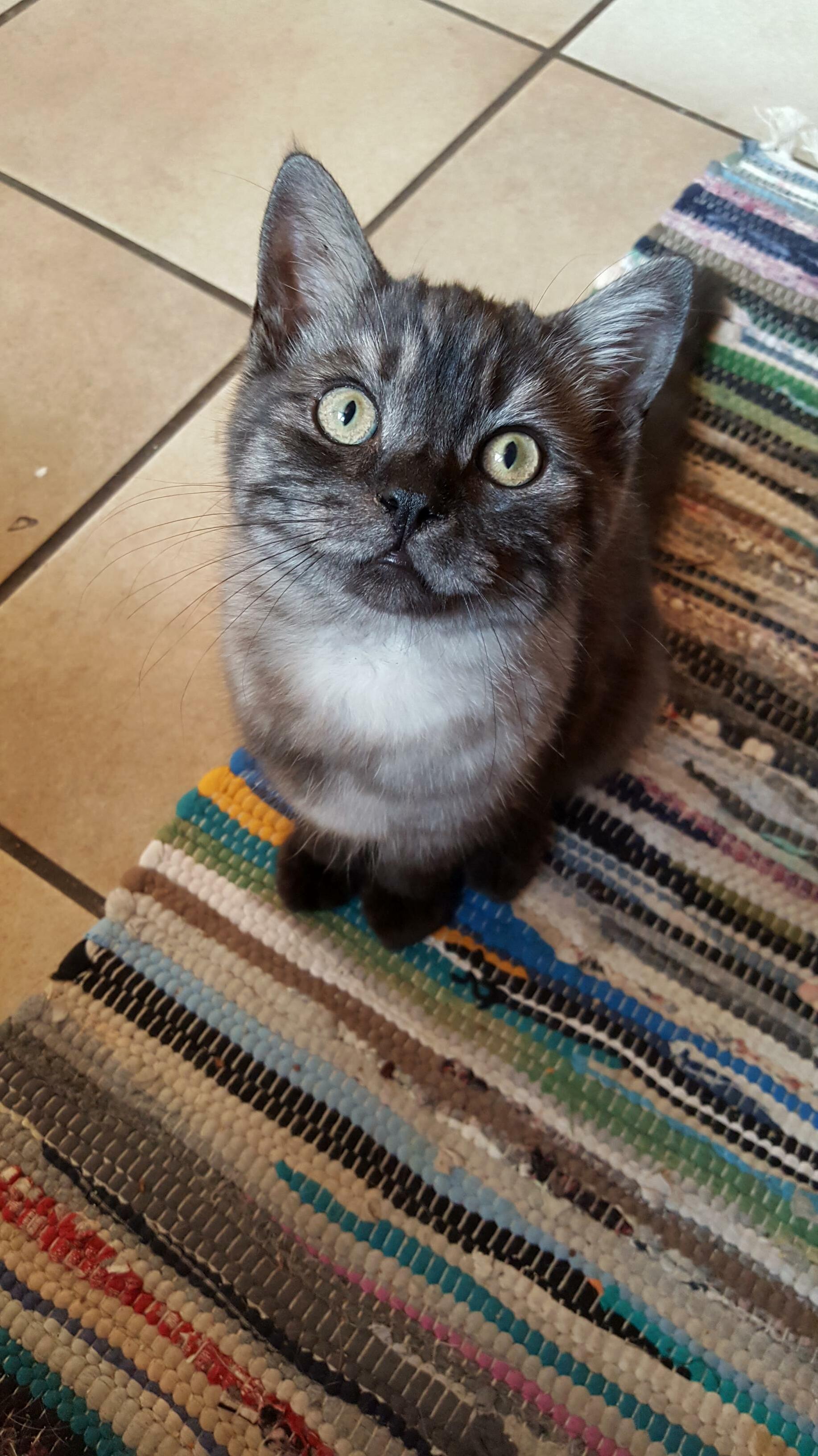 He Isnt the Smartest, but Atleast Hes Cute