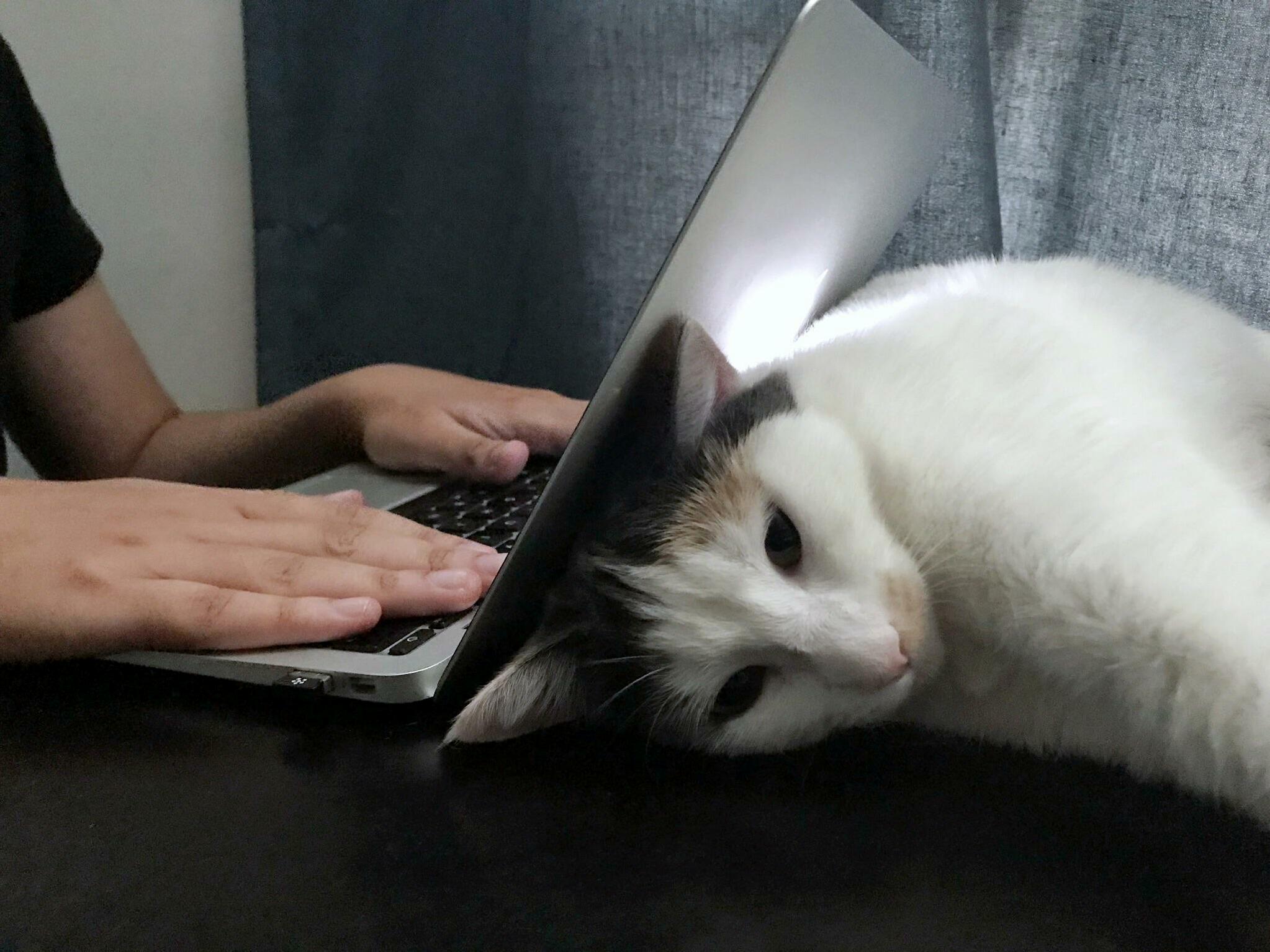 Her Favorite Nap Spot )