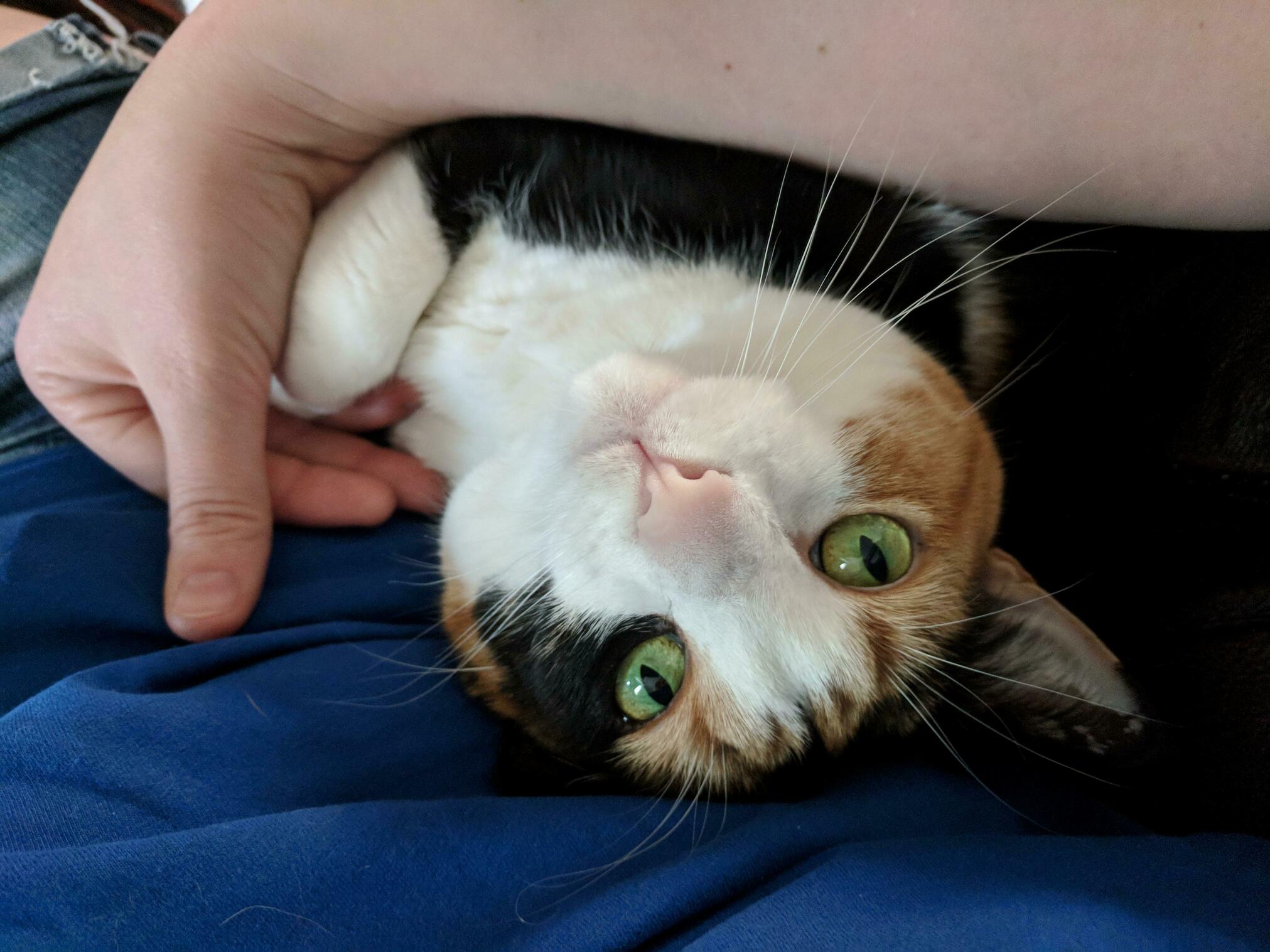 Her Love Makes Me So Happy!