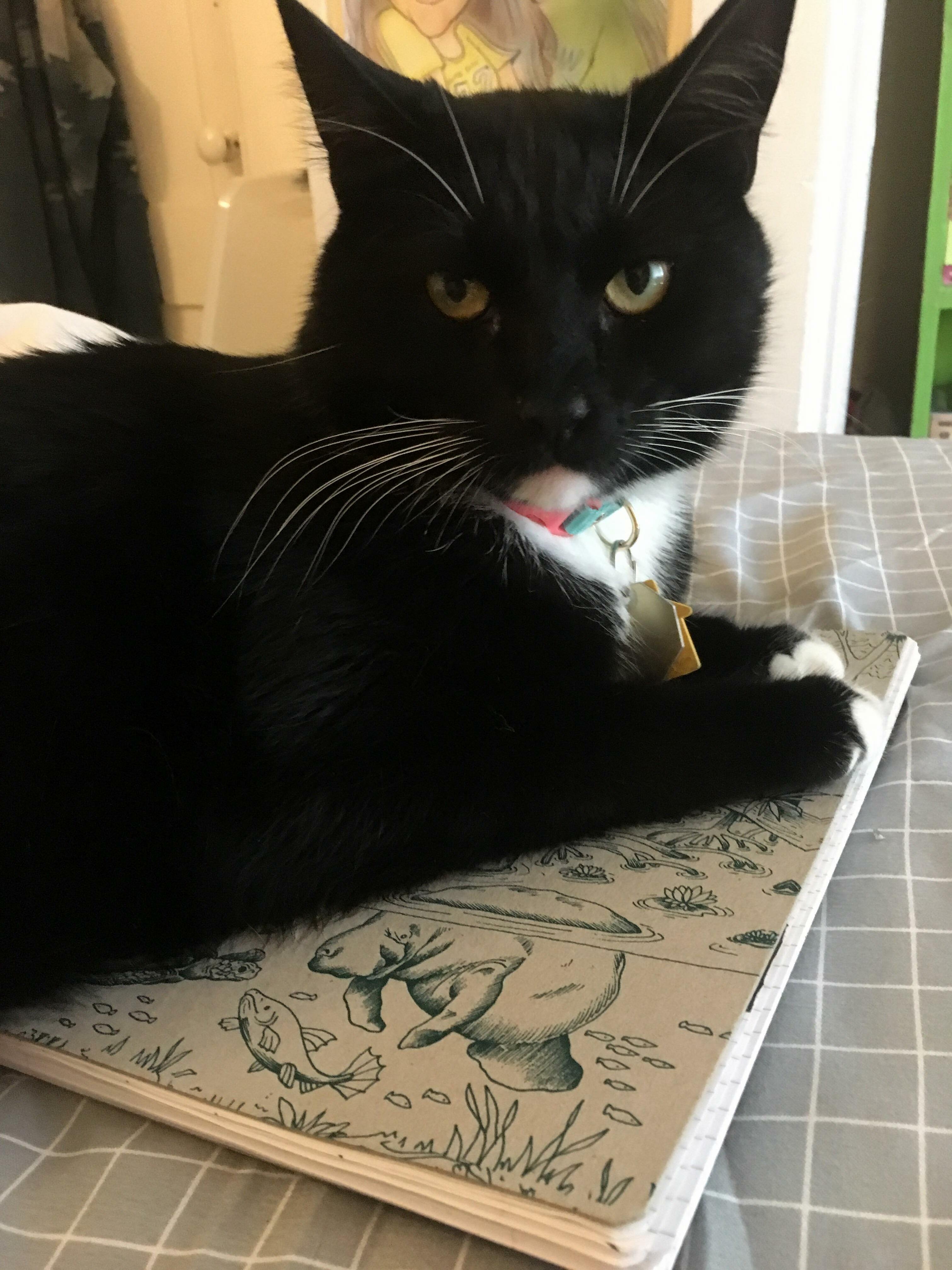 I Guess Im Done Journaling