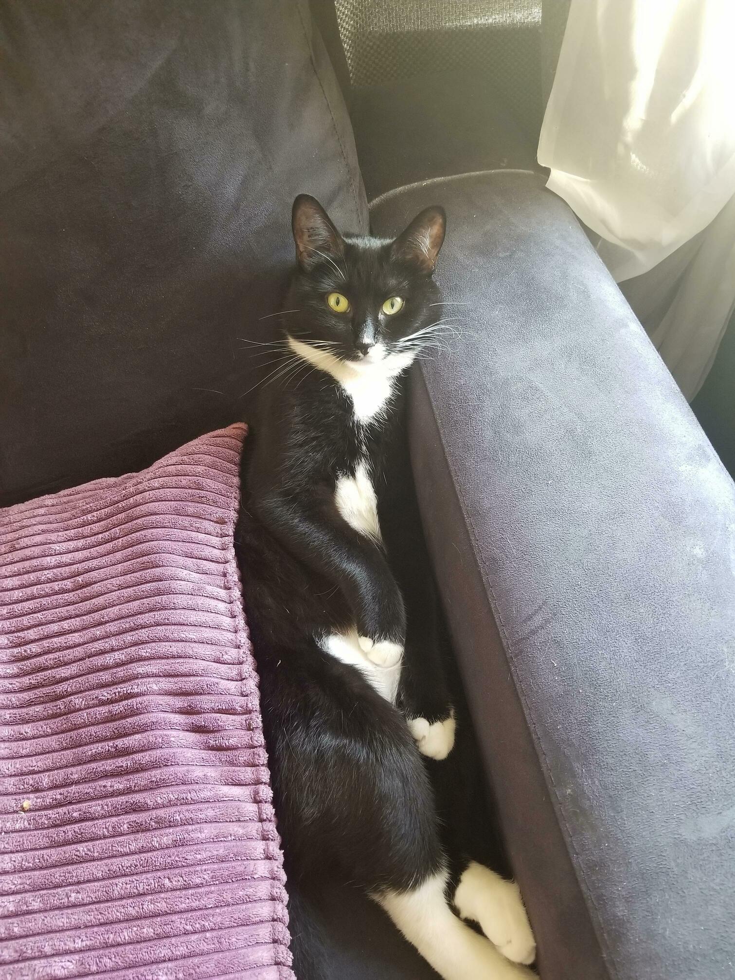 I Love When She Sits Like This