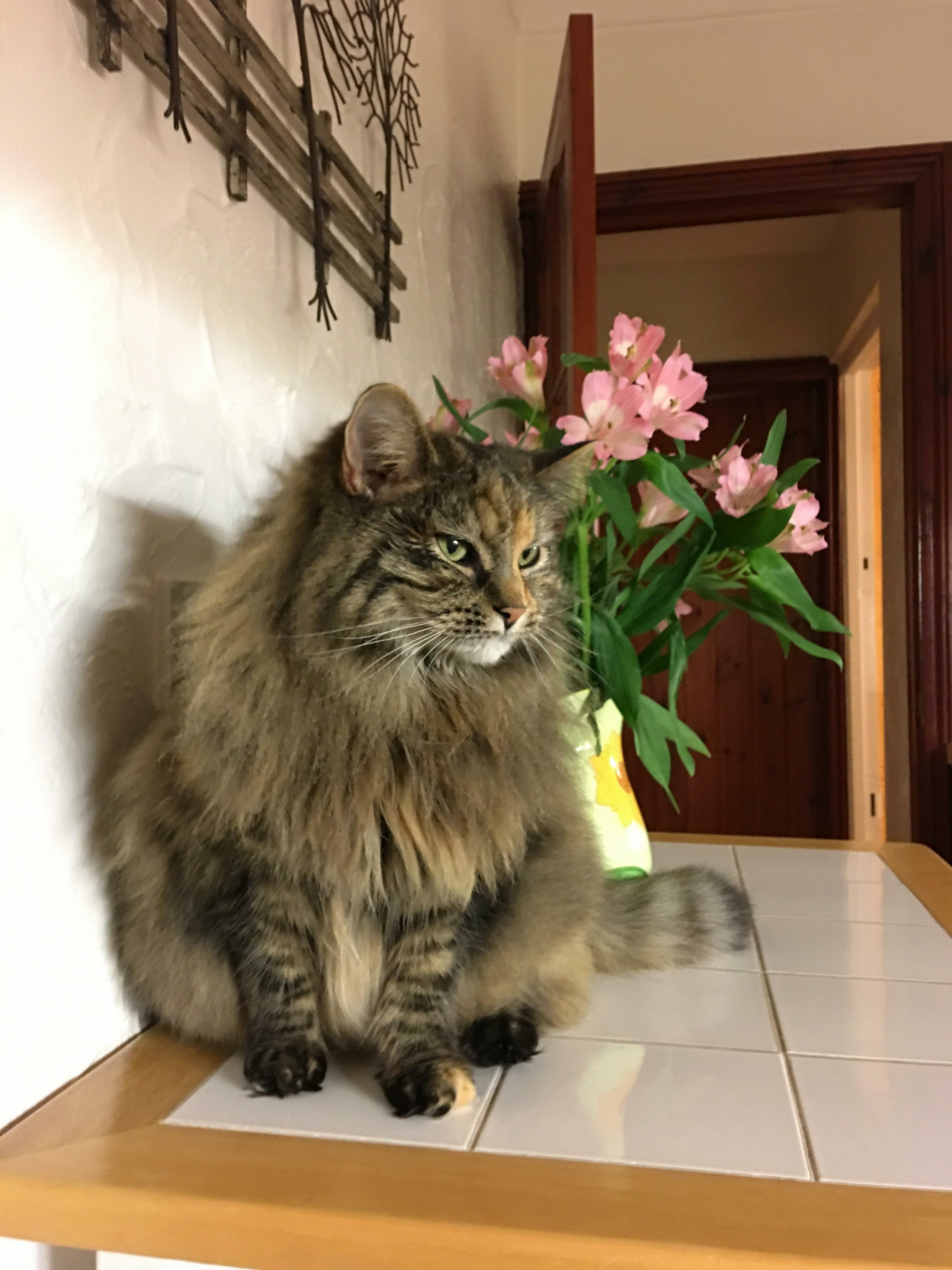 Meet My Best Friend , Jasmine