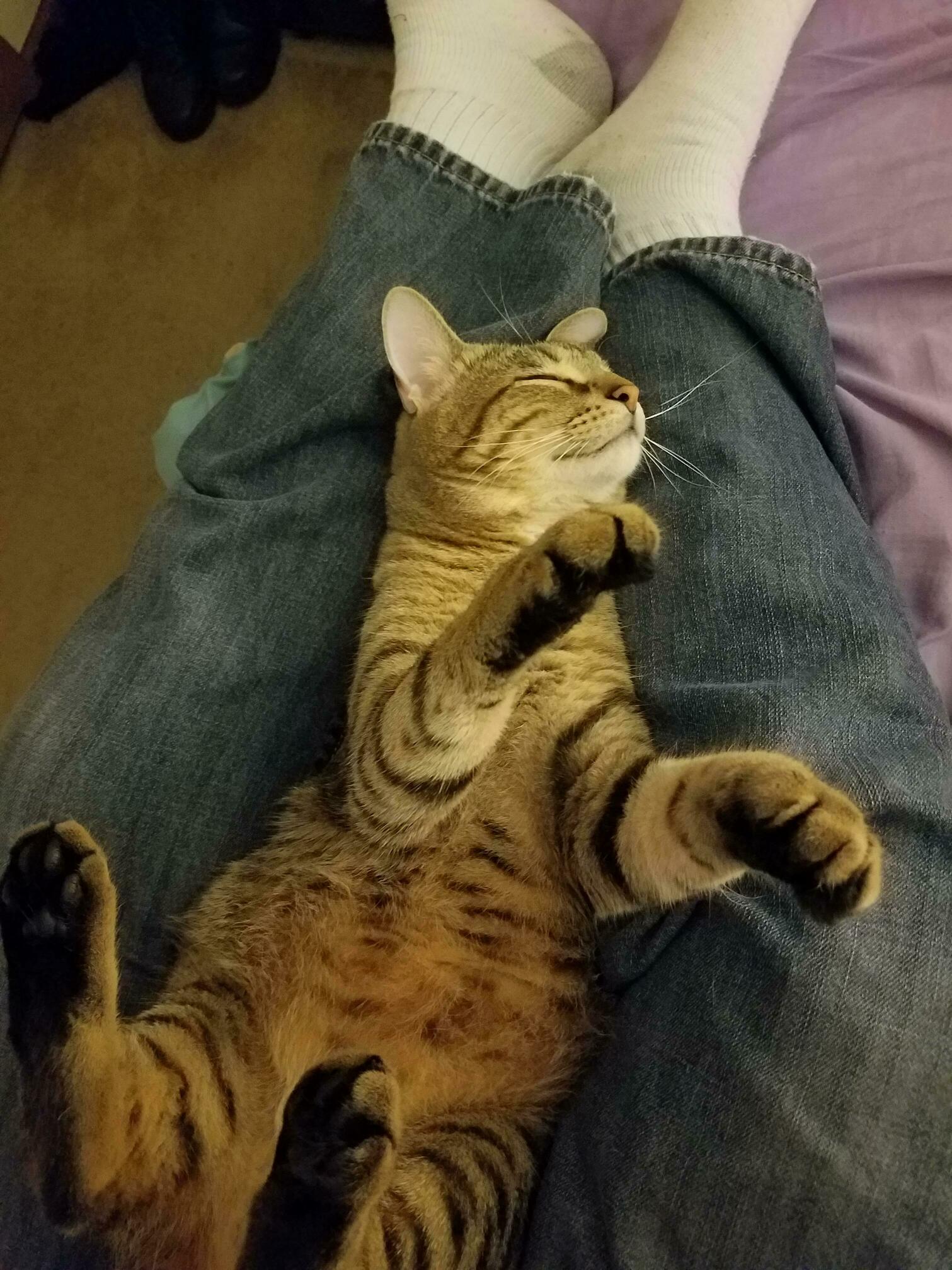 Must of Been a Long Day