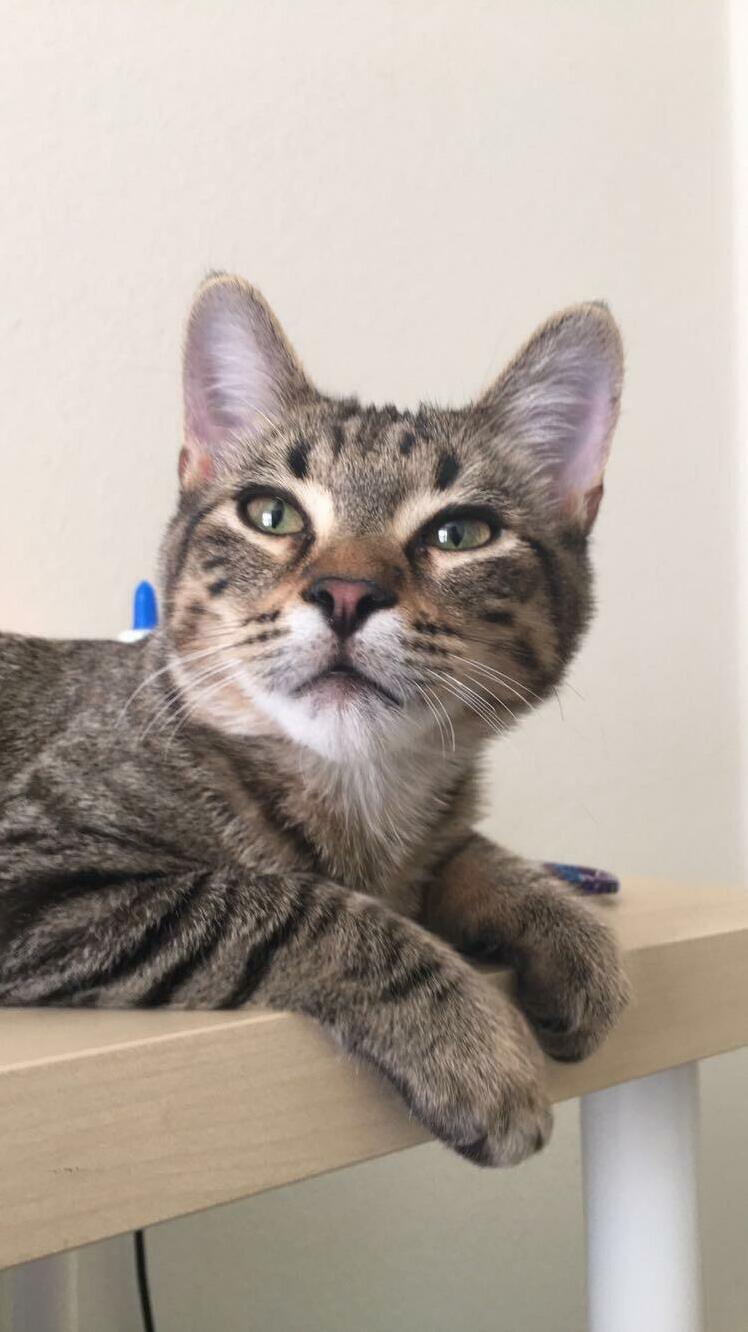 My Rescue, Thunder