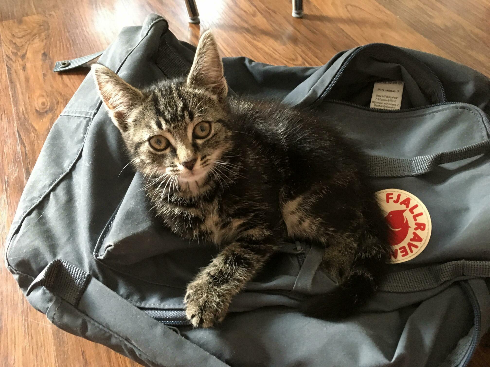 Oh, Youre in a Hurry and You Need Your Bag Well... Thats Going to Be a Problem.
