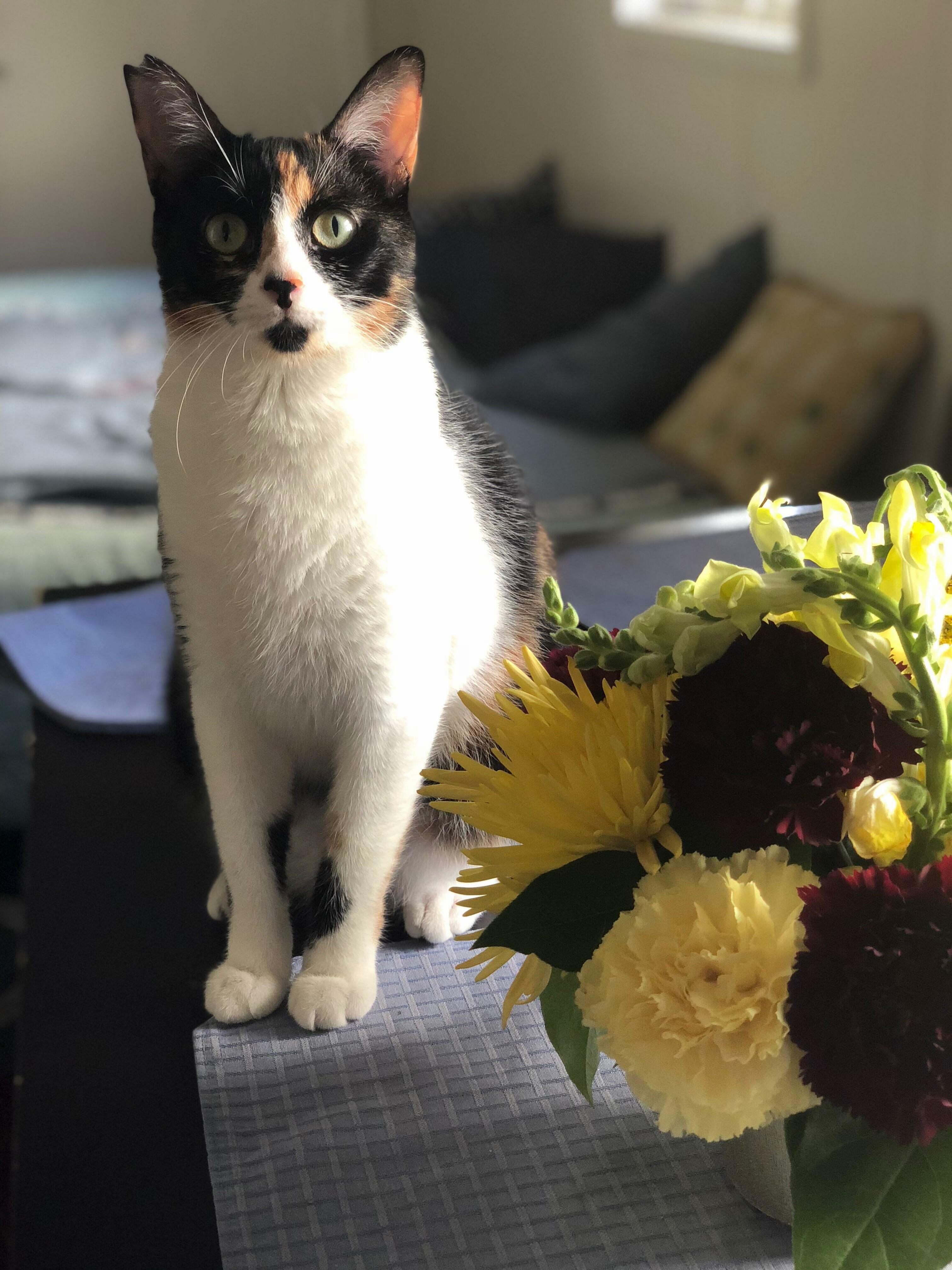 Shes Such a Model