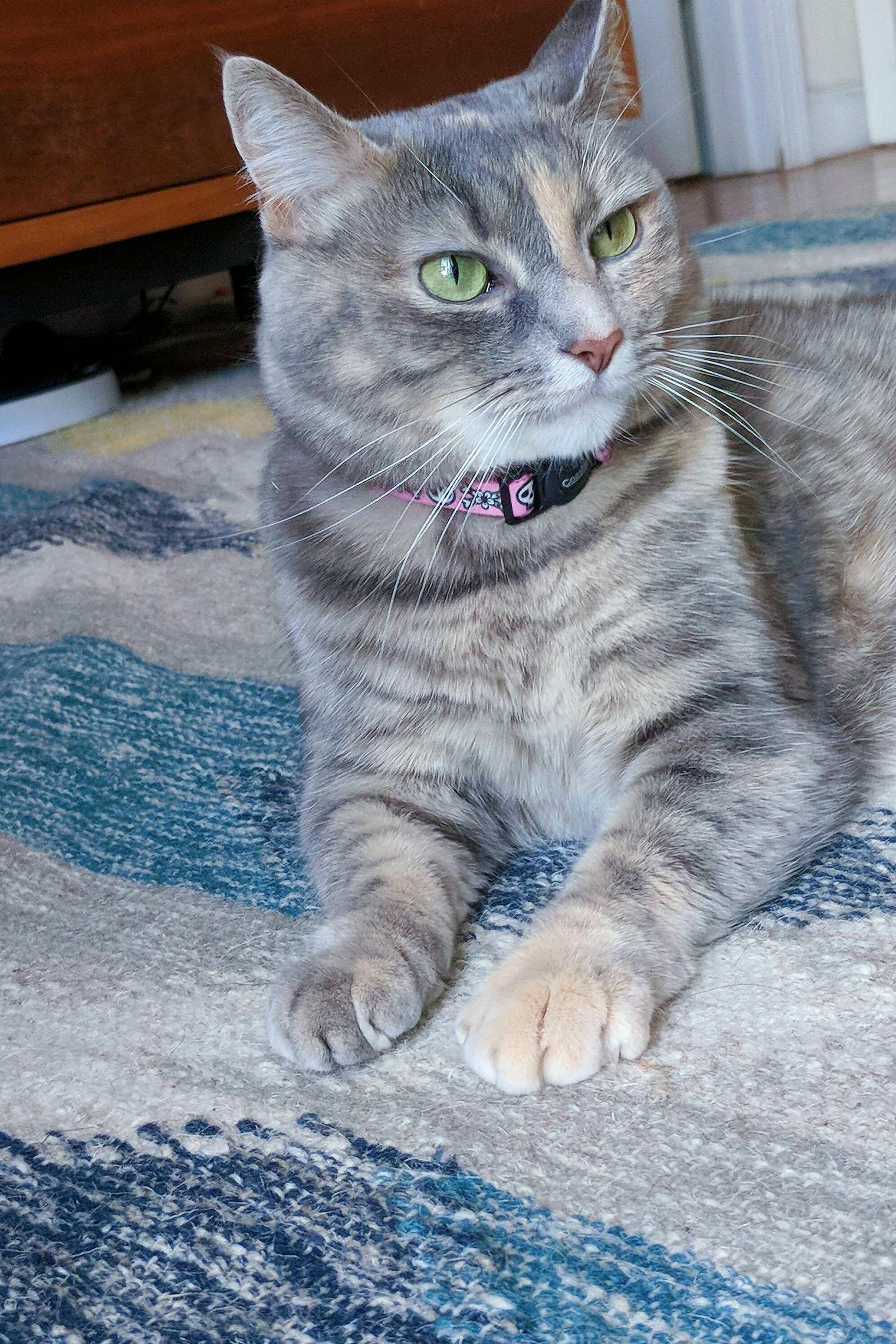 This Freeloading Girl Has to Contribute to the Household Salary by Being a Model