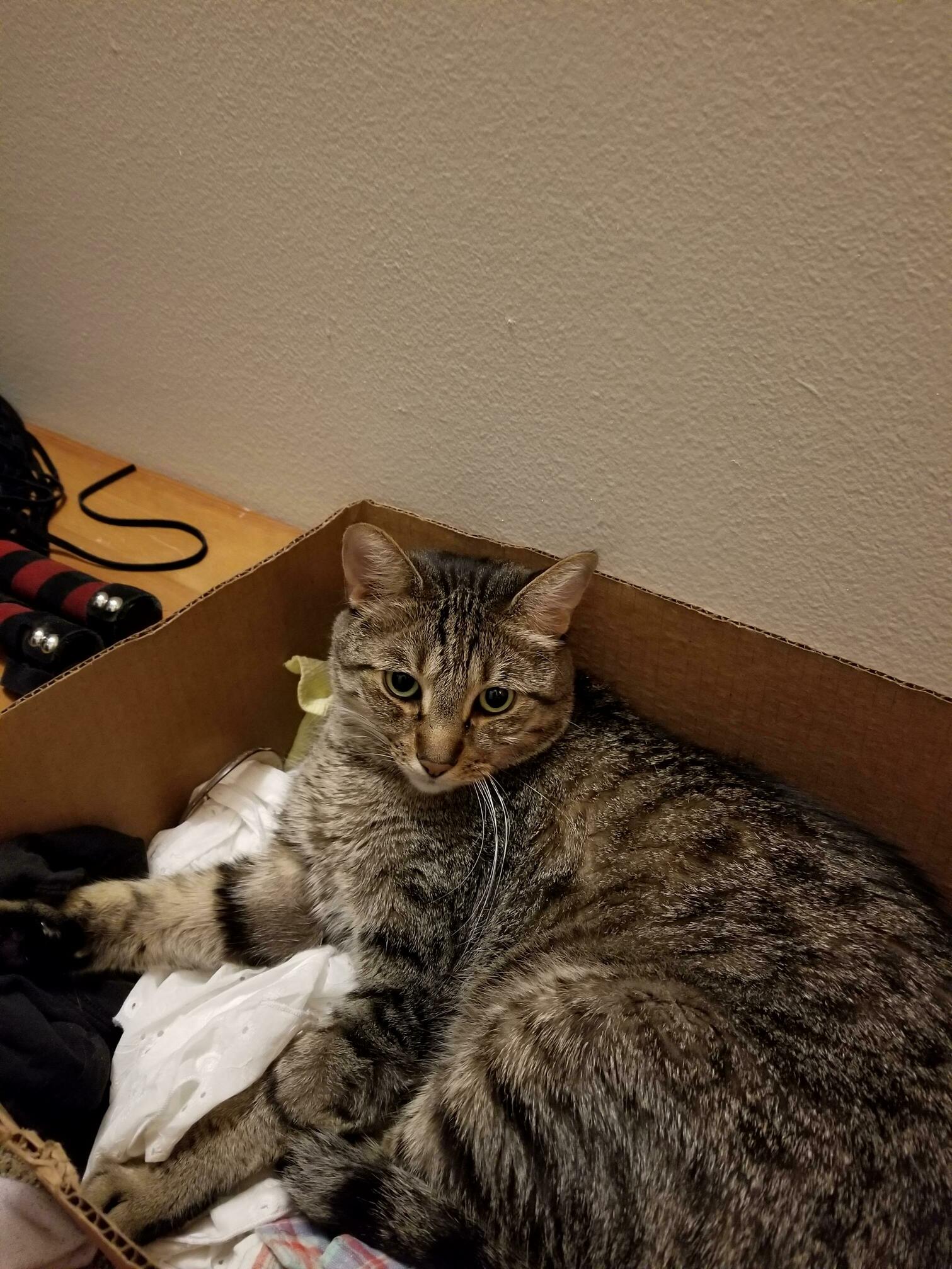Update Hes Moved to My Giveaway Box