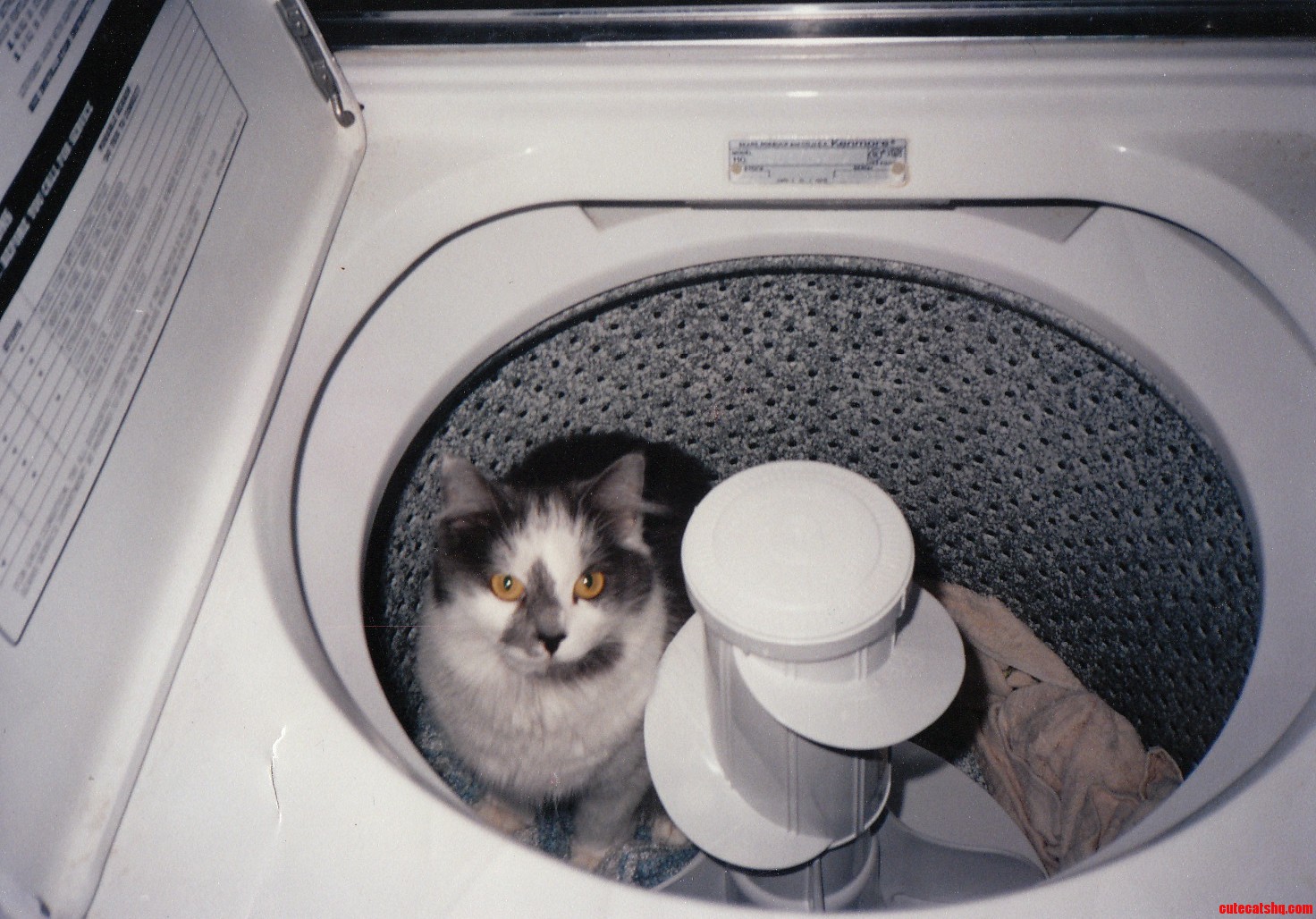I Think In 23 Years Too Late With This Photo Of My Kitty Hanging Out In The Washer.
