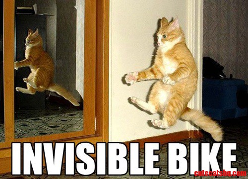 Lol Invisible Bike Riding Cat D