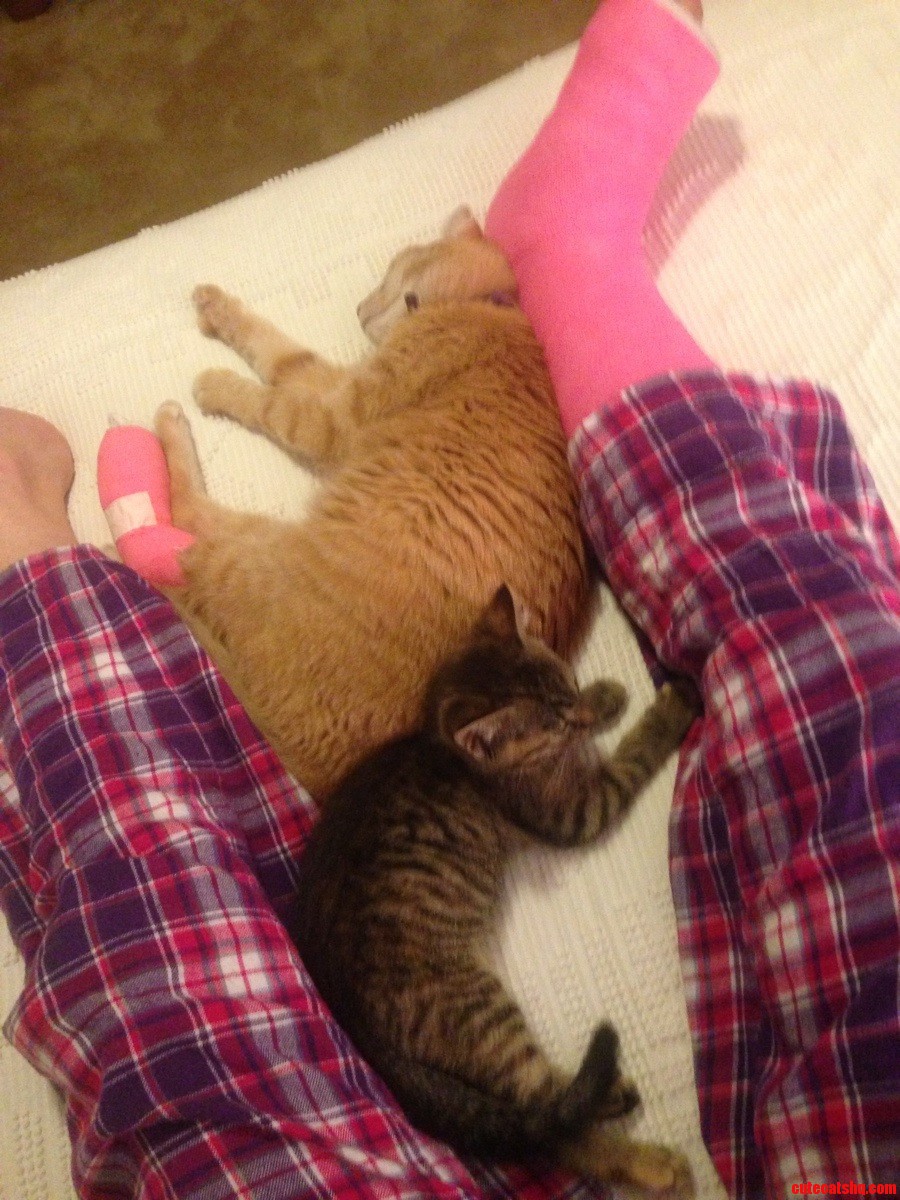 My Cat And I Both Hurt A Foot