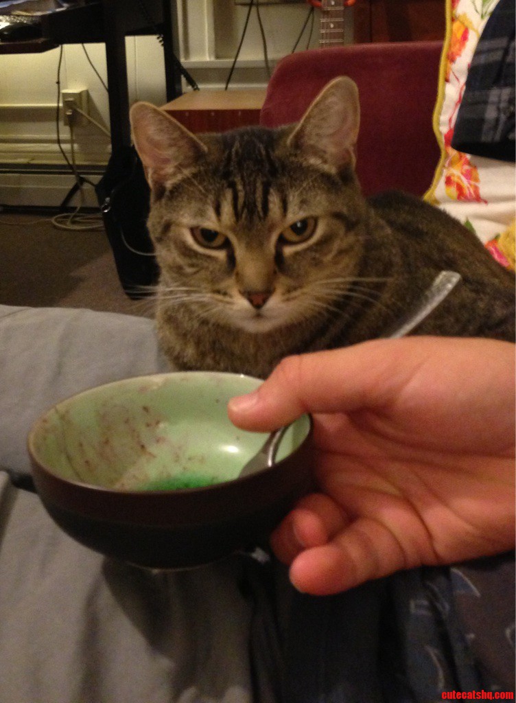 There Will Be Repercussions For Not Sharing That Bowl.