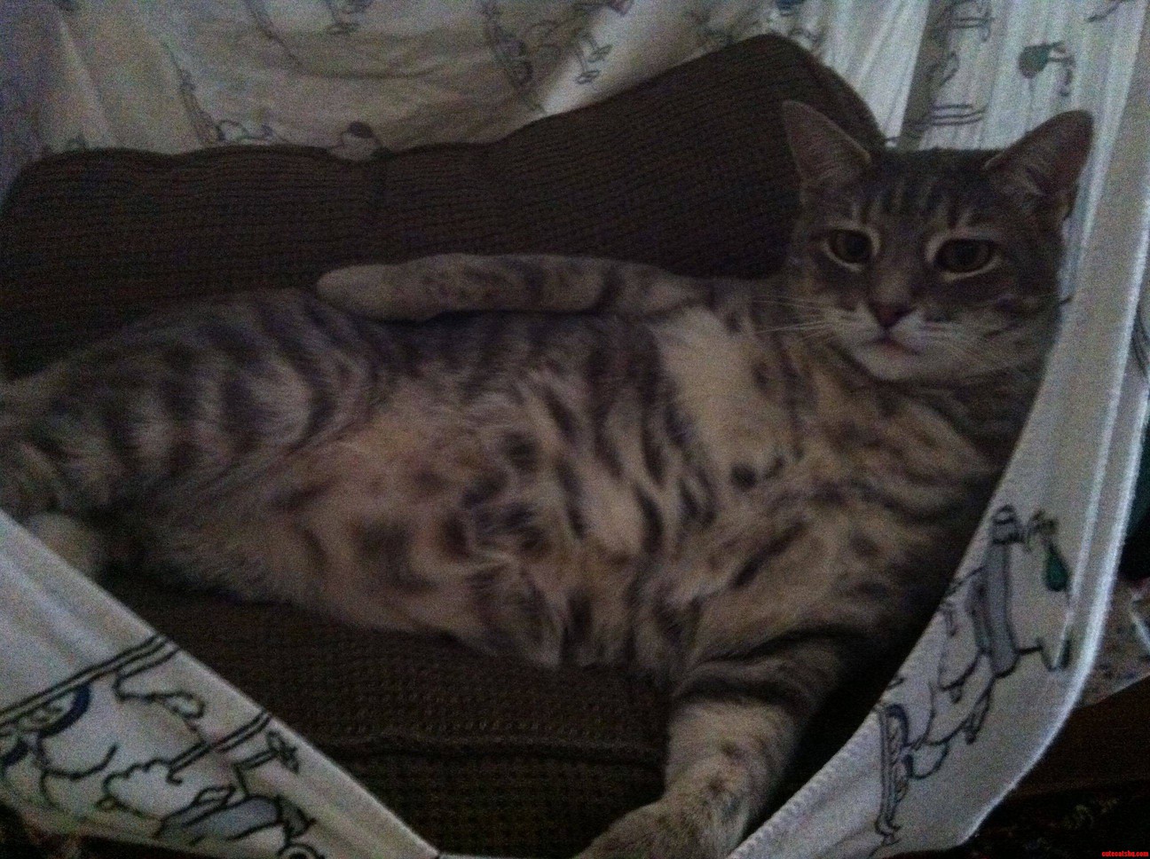Draw Me Like One Of Your French Girls.