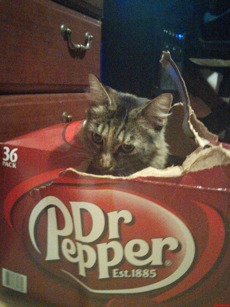 No More Dr. Pepper.
